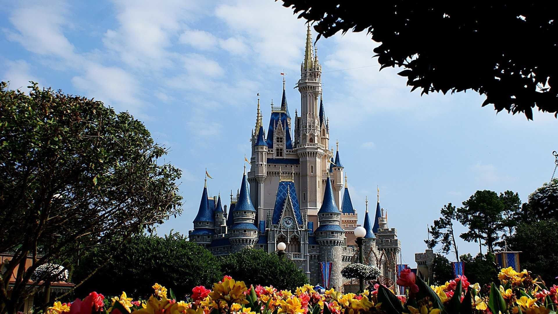 Castello Cenerentola Disney World, 1920x1080 1080p, Monitor Gaming