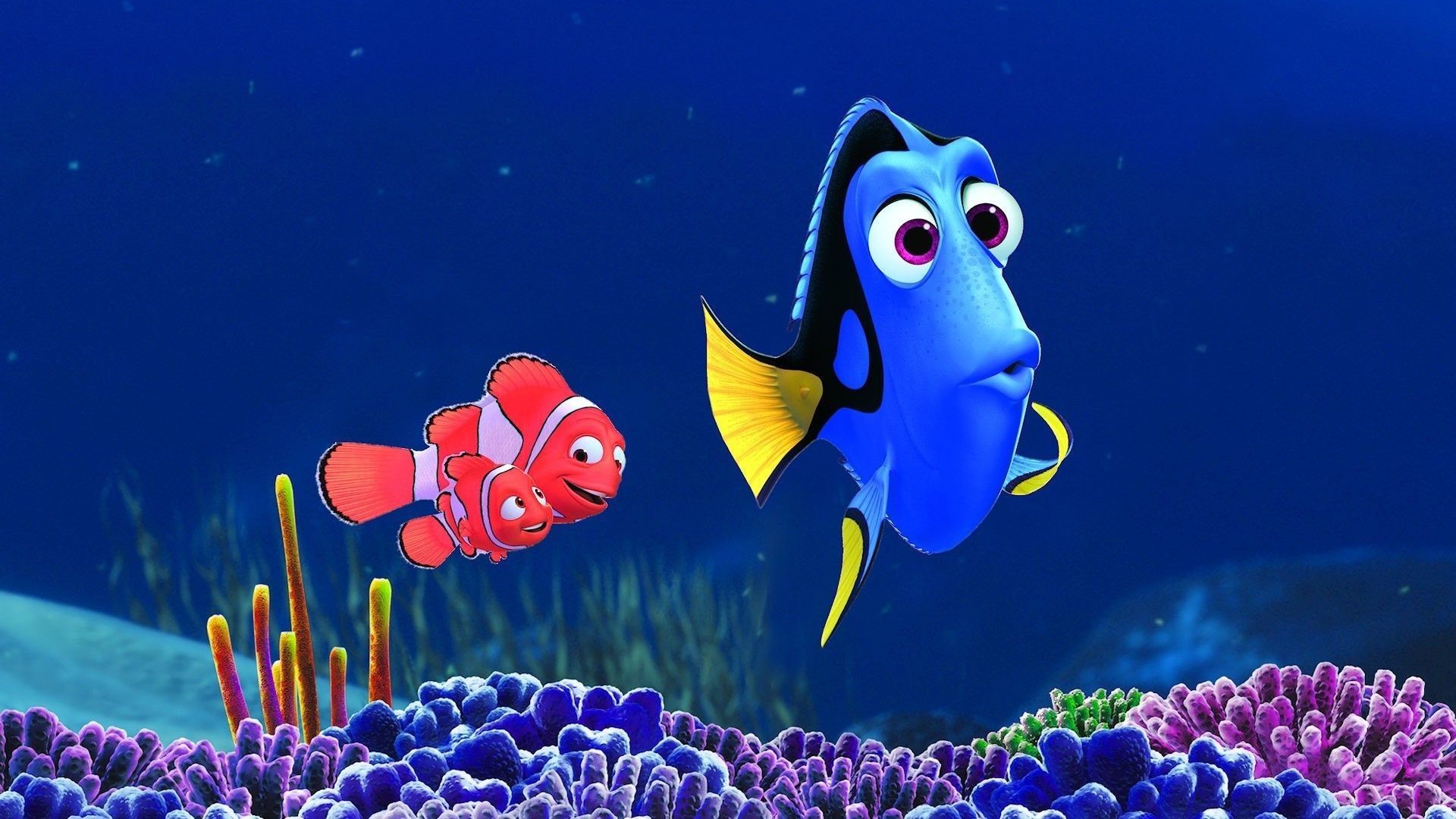 Nemo e Dory oceano, 1920x1080 1080p, Laptop