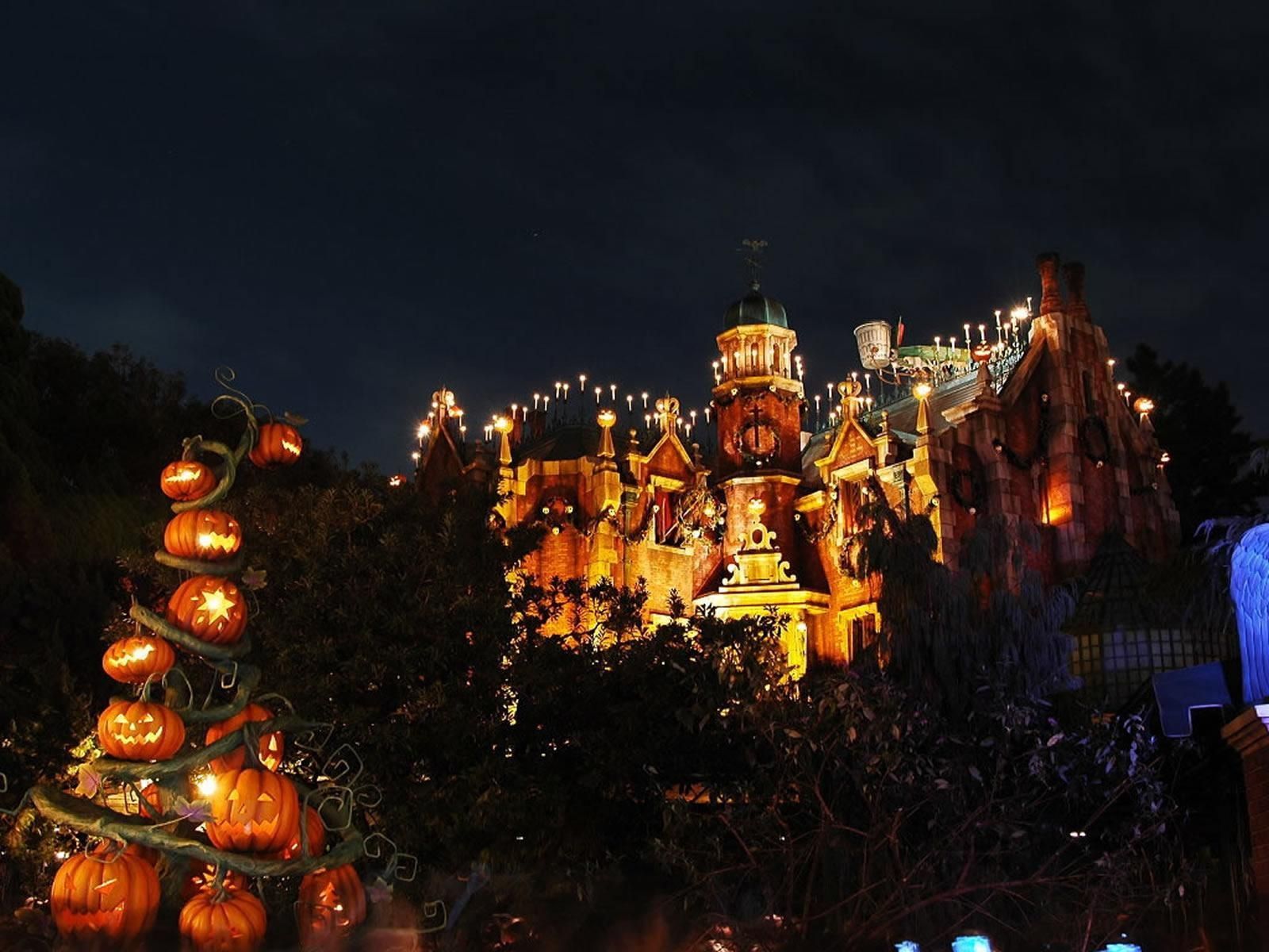 Castello Disneyland Halloween notturno, 1600x1200 HD Ready, Laptop