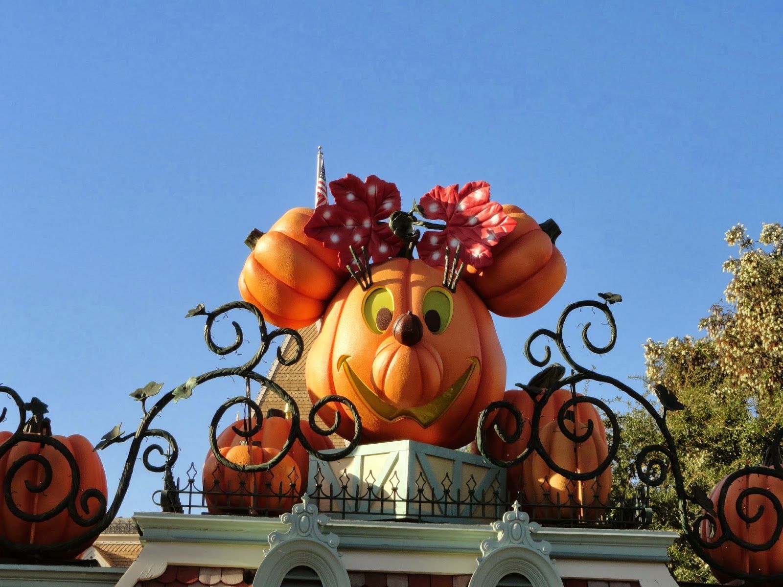 Zucca Minnie Mouse Disneyland, 1600x1200 900p, Desktop