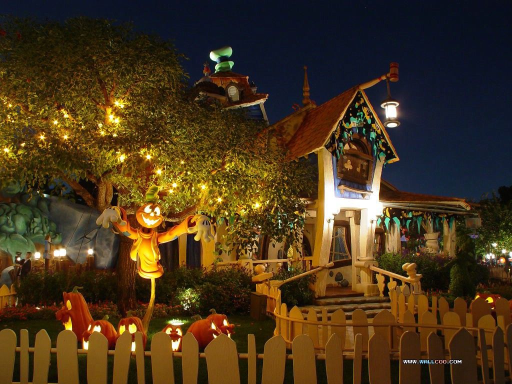 Zucca Minnie Mouse Disneyland, 1024x768 HD, Desktop