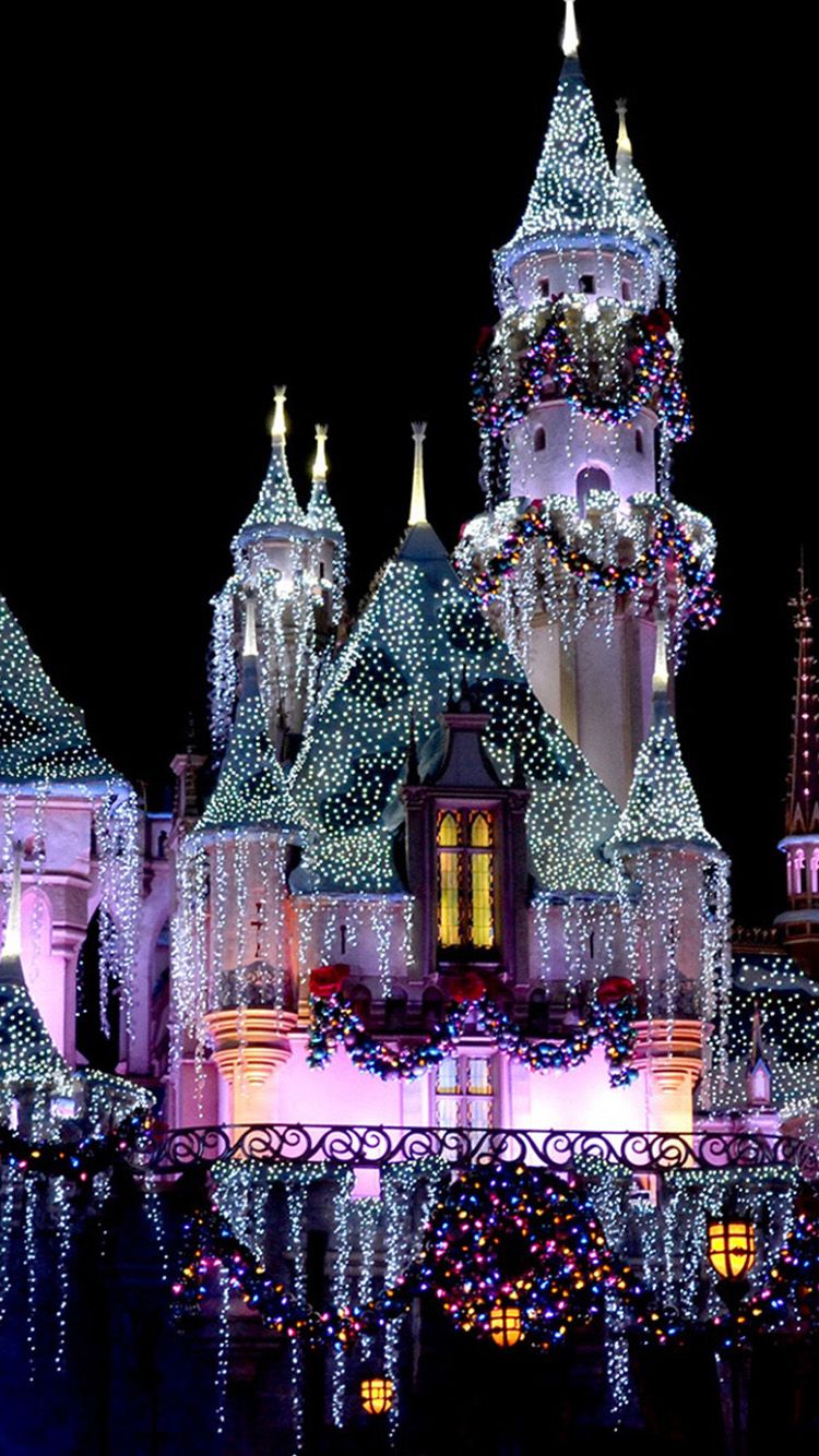Disneyland castello notte illuminato, 1080x1920 Verticale, iPhone Plus