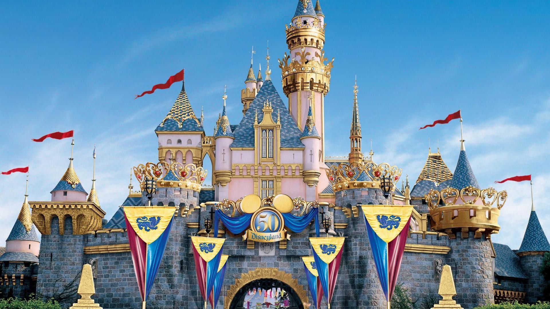 Castello Disneyland con fuochi artificio, 1100x2000 Verticale, iPhone
