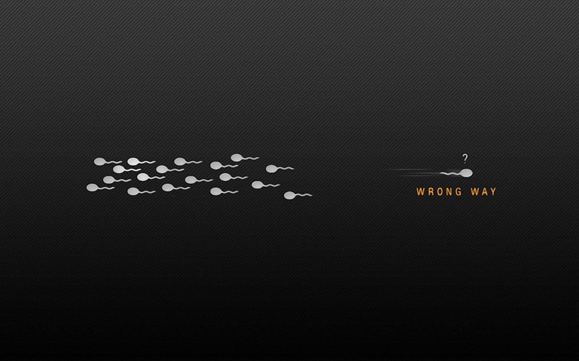 spermatozoi senso contrario, 1920x1200 Full HD+ WUXGA, PC Desktop