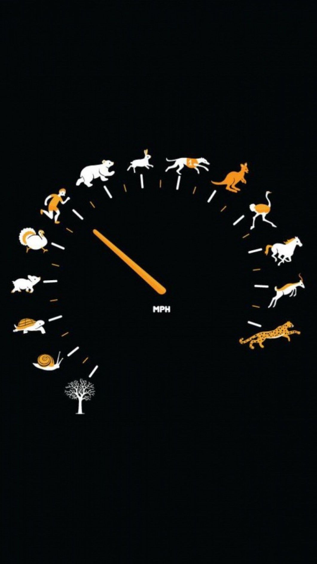 Tachimetro animali velocità nero, 1060x1884 Full HD Verticale, Smartphone