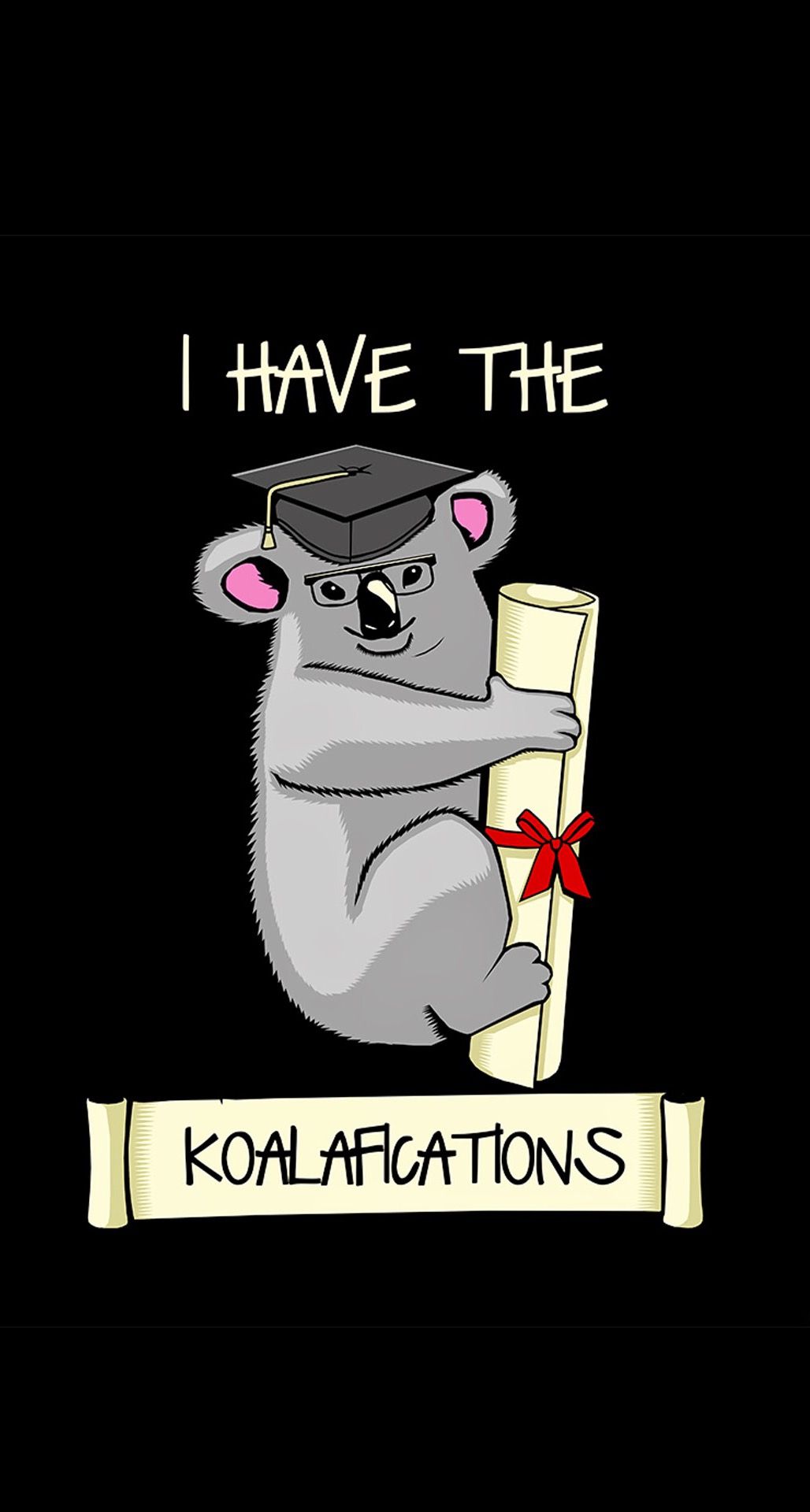 Koala con diploma laurea, 1028x1920 Full HD Verticale, iPhone