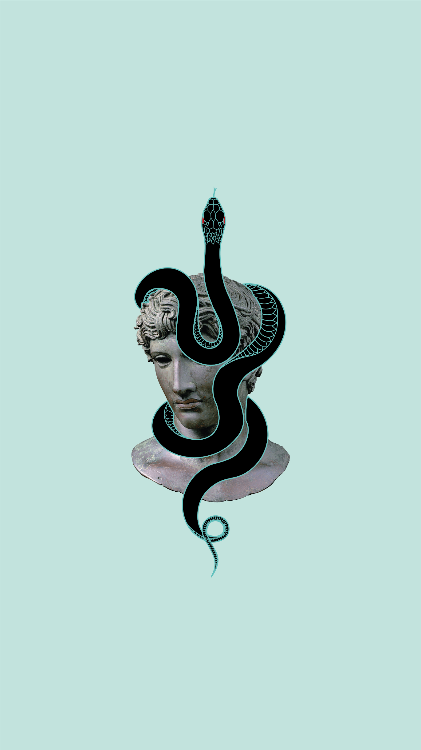 Testa Medusa serpente illustrazione, 1370x2436 Verticale, iPhone Air