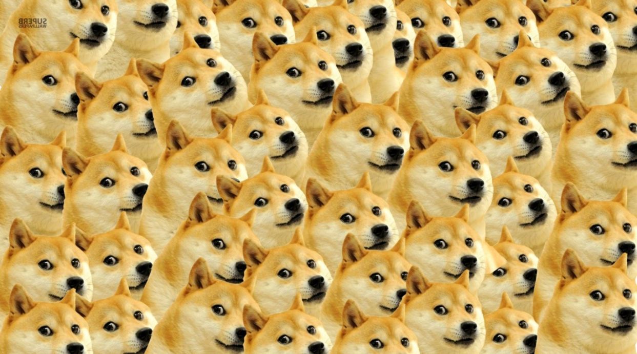 Doge cane pattern ripetuto, 1243x691 HD, Desktop