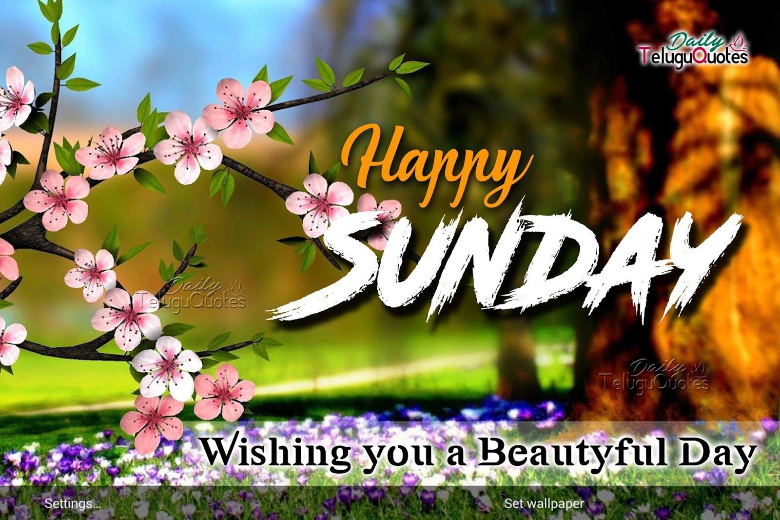 Buona Domenica, 1024x768 HD, Desktop