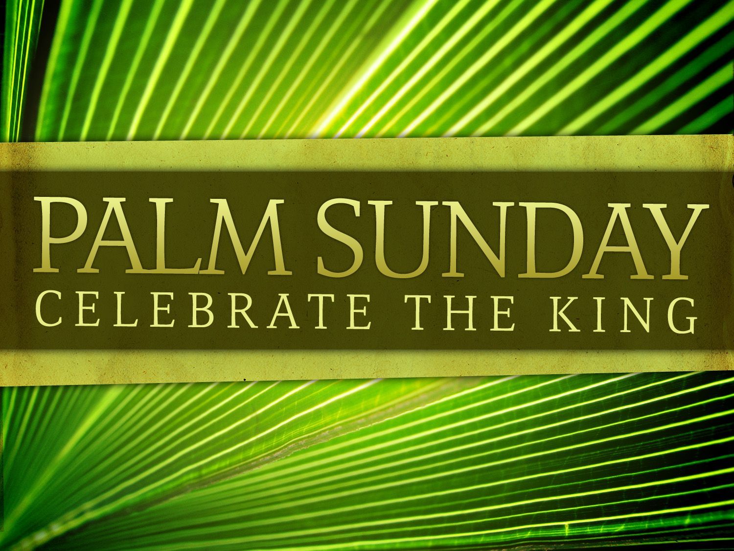 Palm Sunday foglie verdi religiose, 1500x1125 720p, Laptop