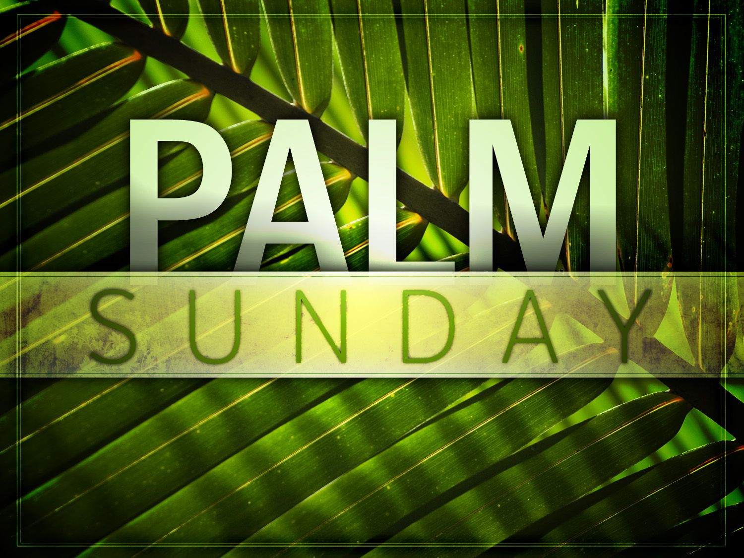Testo Palm Sunday foglie palma, 1500x1125 720p, Laptop