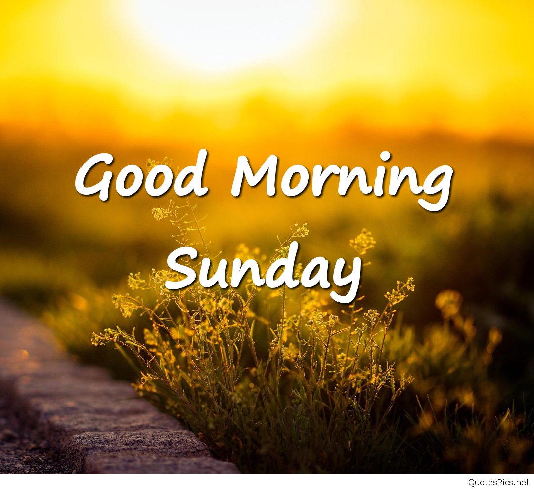 Good Morning Sunday alba fiori, 1080x990 HD, PC
