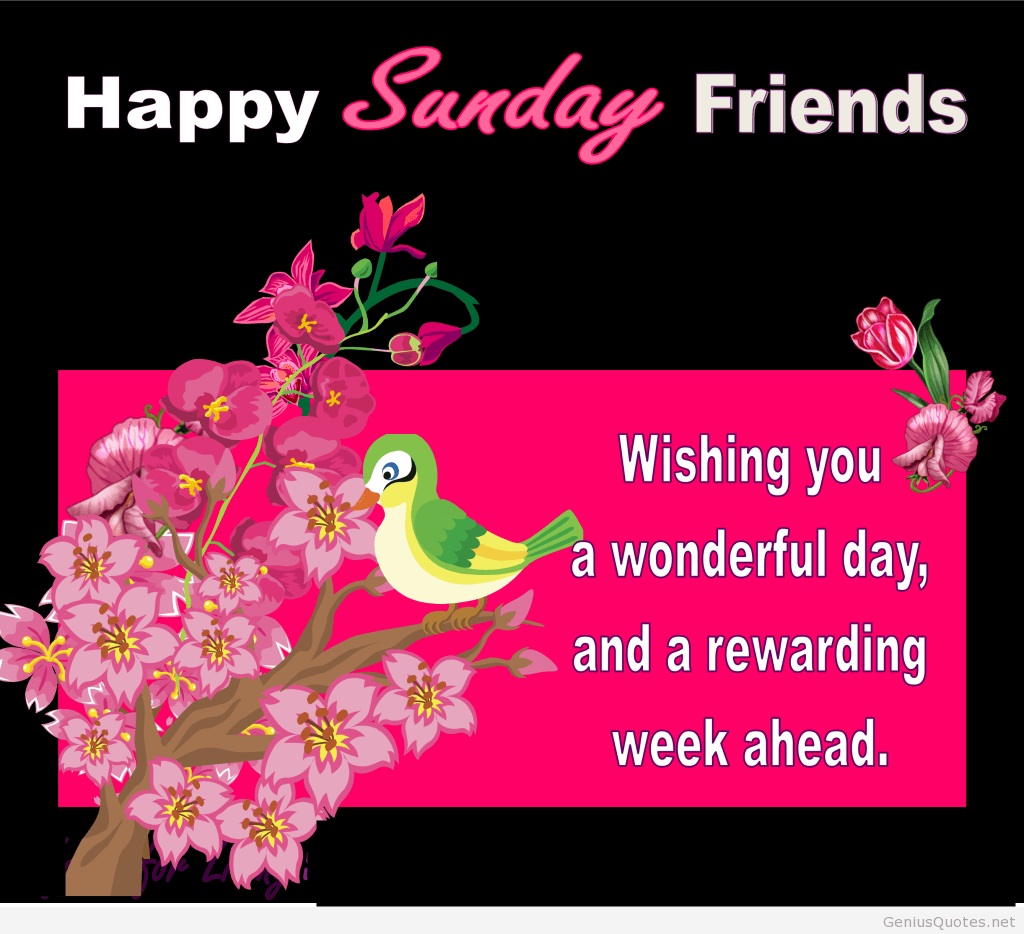 Happy Sunday scritta con fiori rosa, 1024x934 HD, iMac
