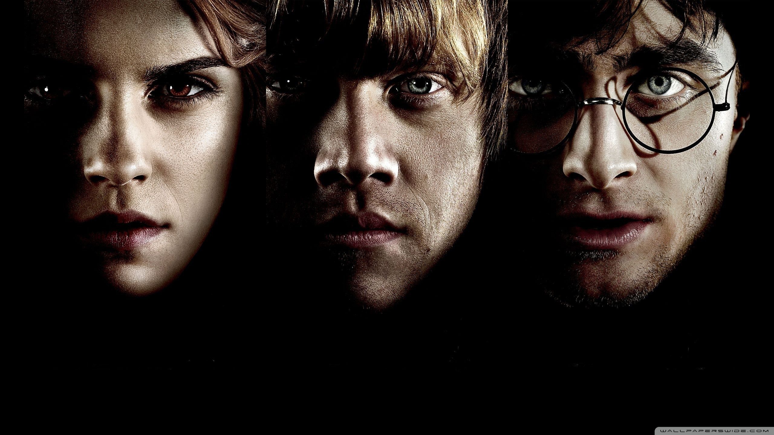Stemma Hogwarts Harry Potter, scuola di magia, 1920x1080 Full HD, Laptop