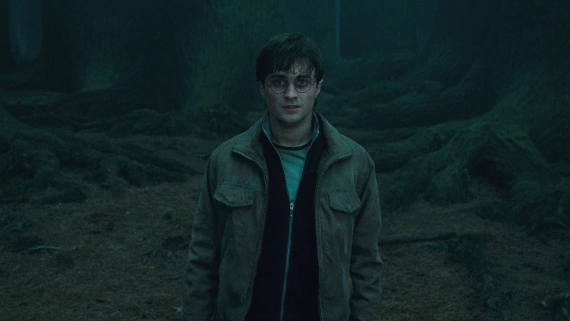 Harry Potter e Severus Piton, 1680x1050 HD Ready, PC