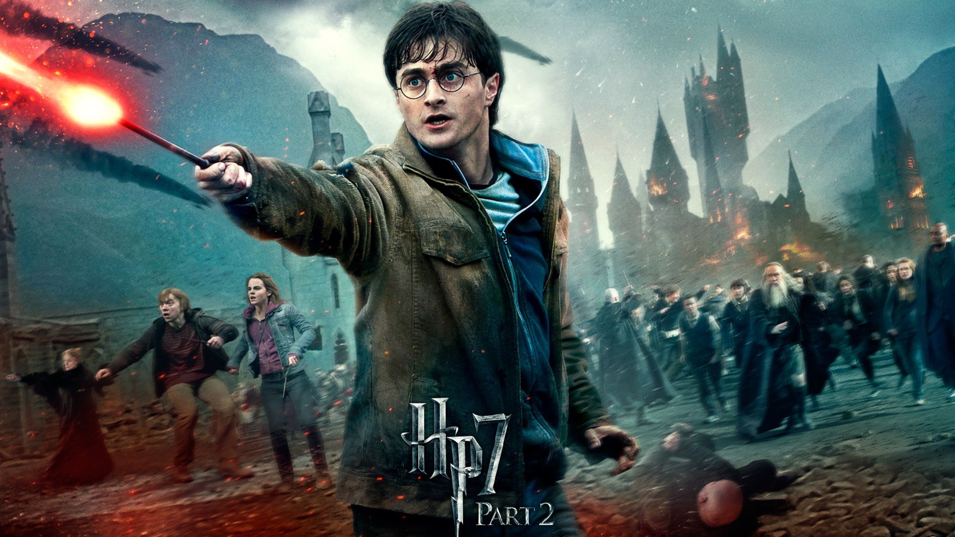 Harry e Voldemort bacchetta, Signore Oscuro, 1920x1080 1080p, Desktop