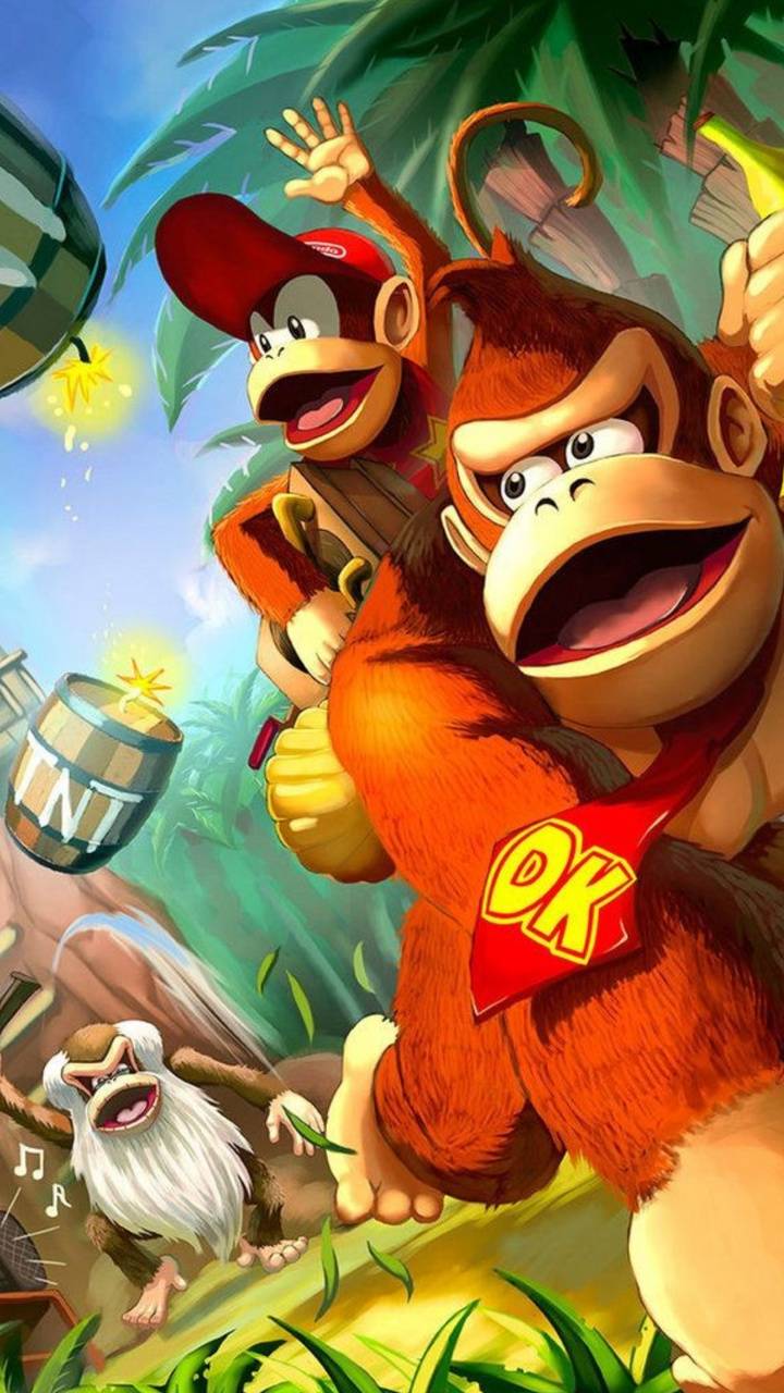 Donkey Kong e Diddy Kong giungla, Donkey Kong Country, 720x1280 Full HD Verticale, Smartphone