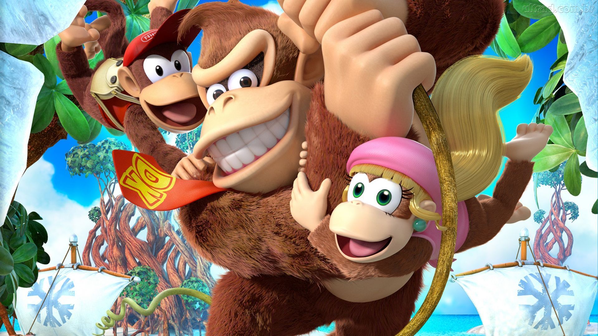Donkey Kong Country Tropical Freeze, Nintendo, 1920x1080 1080p, Desktop