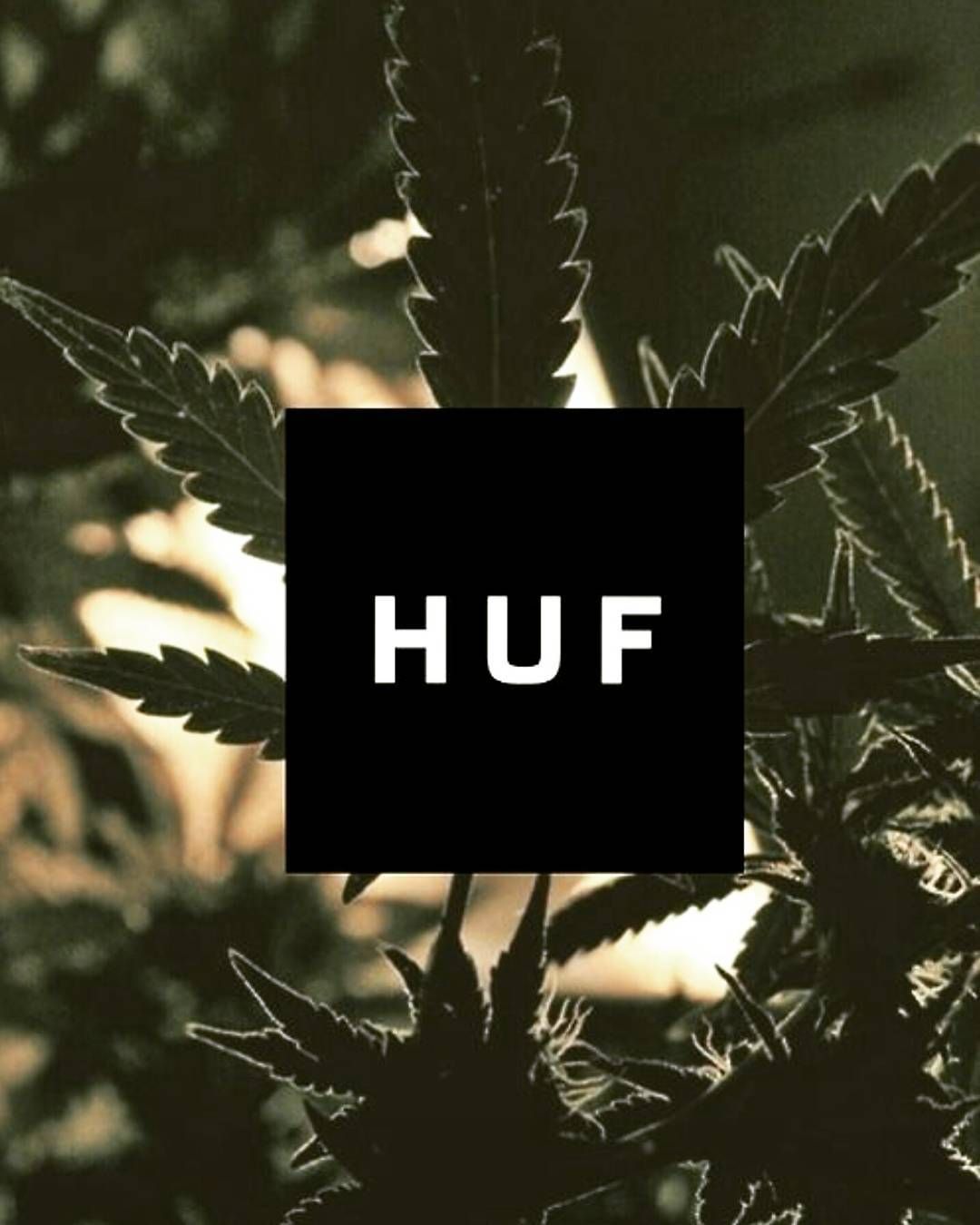 Foglie cannabis logo HUF, 1080x1350 Full HD Verticale, iPhone Pro