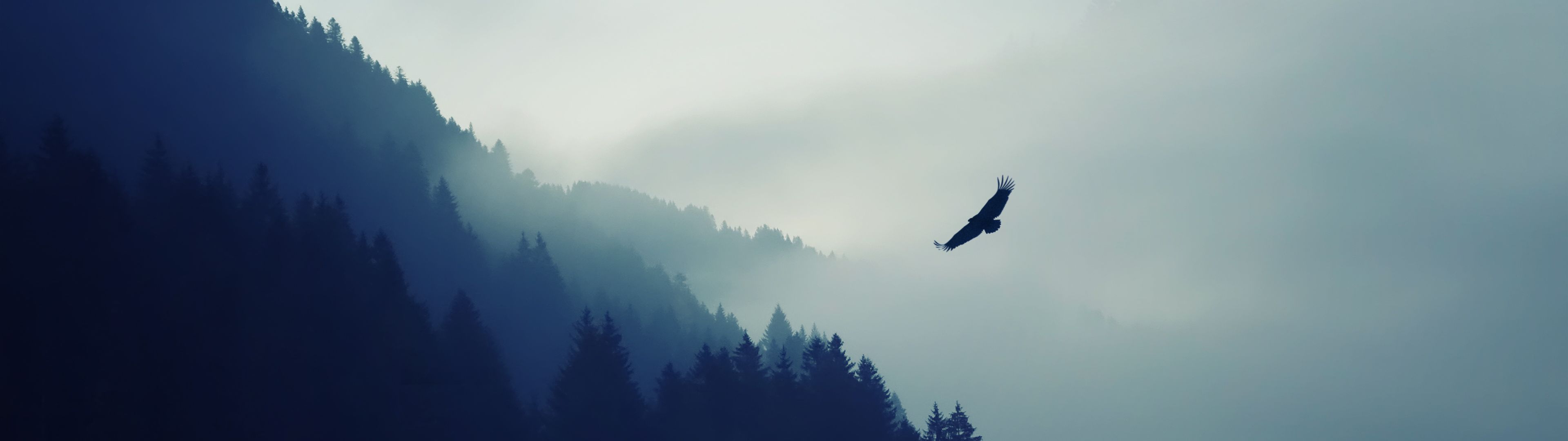 Uccello in volo montagne nebbiose, 3840x1080 21:9, Ultrawide