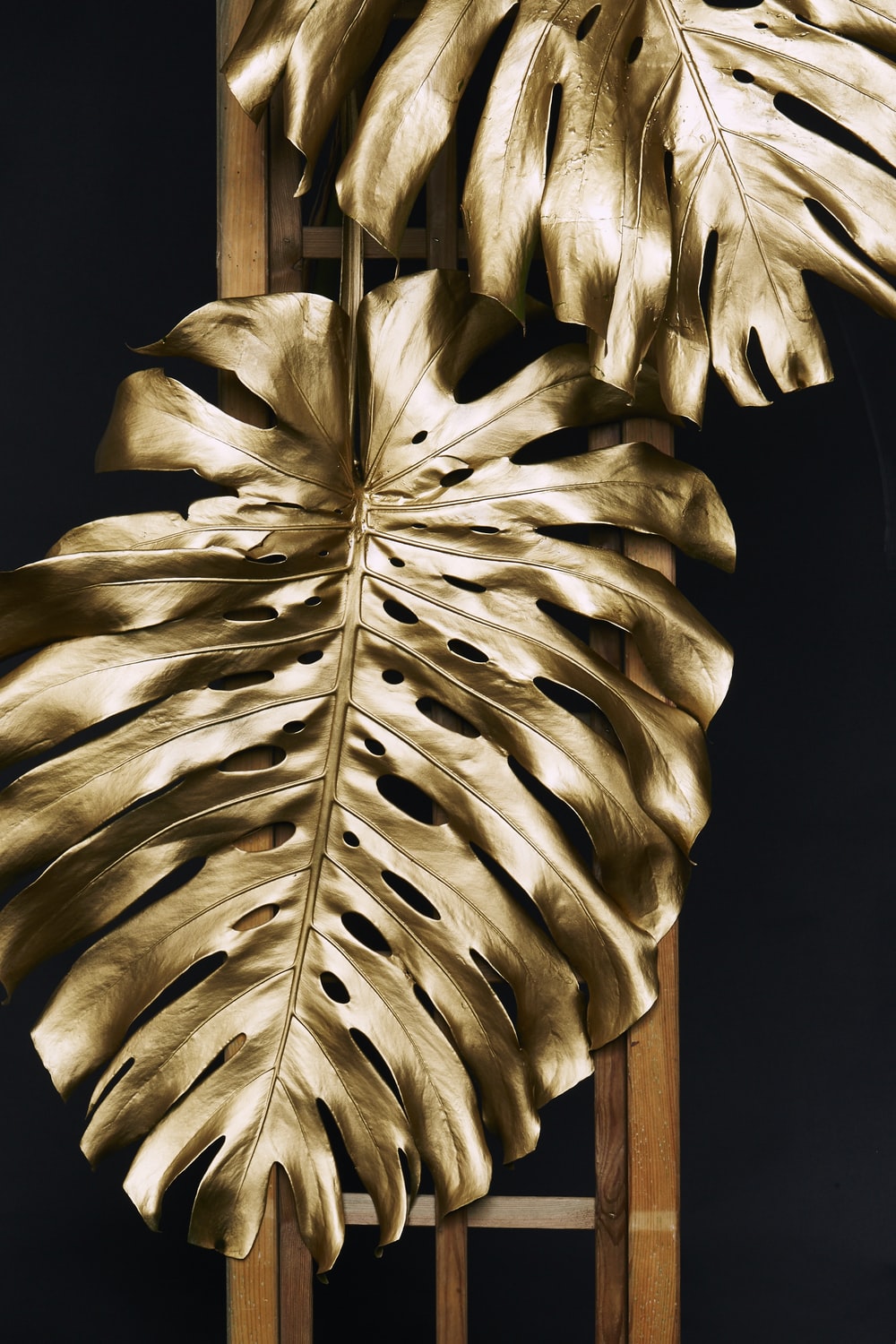 Foglie dorate monstera, 1000x1500 Full HD Verticale, iPhone