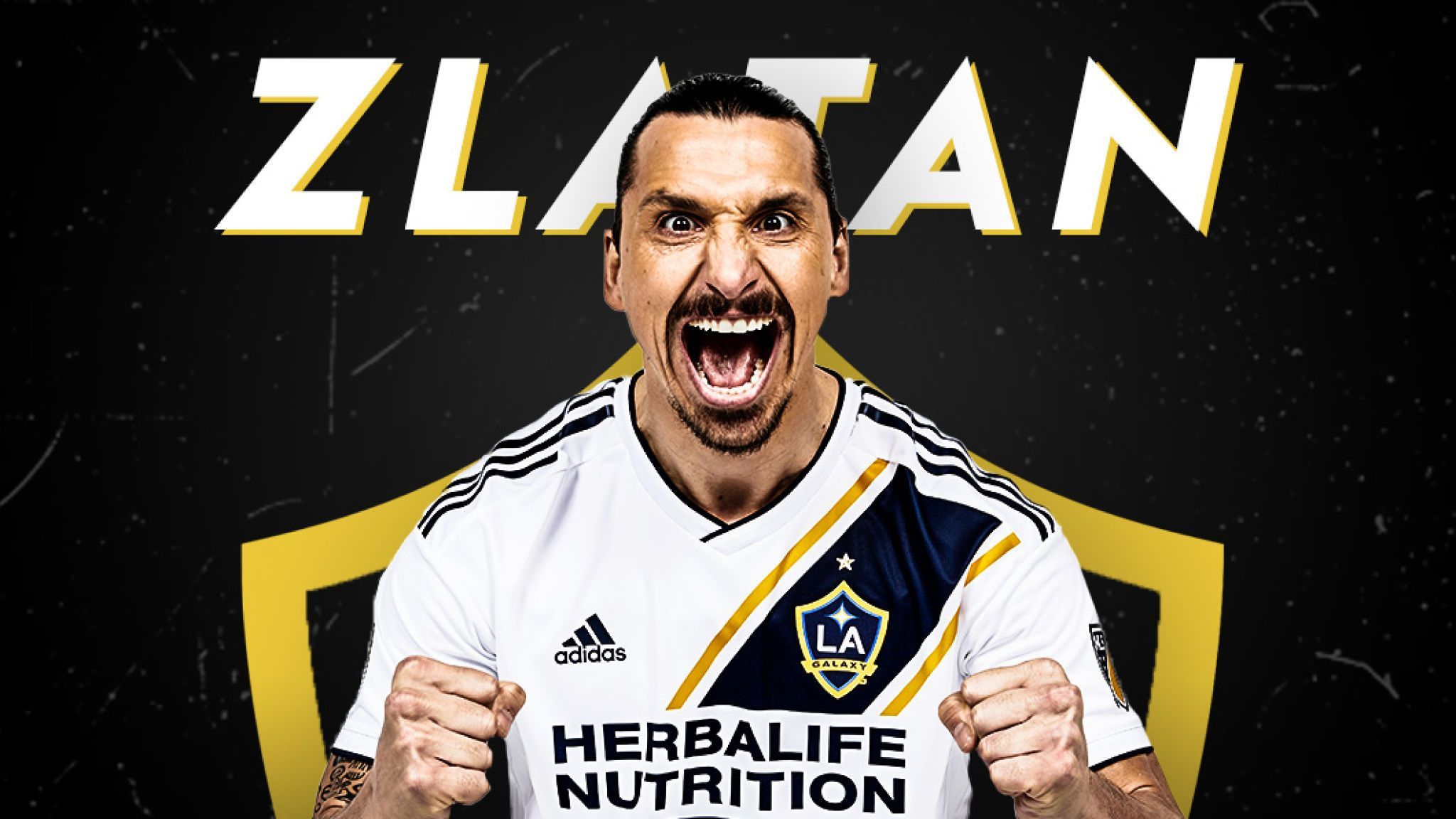 Zlatan Ibrahimovic LA Galaxy, 2048x1152 Hi-Res, Laptop