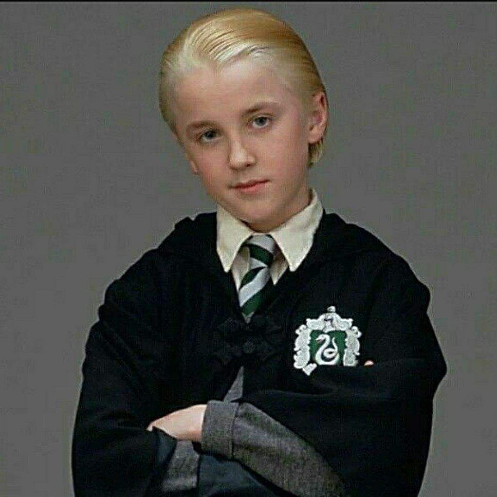 Harry Potter e Draco Malfoy oggi, 1920x1080 Full HD, PC Desktop