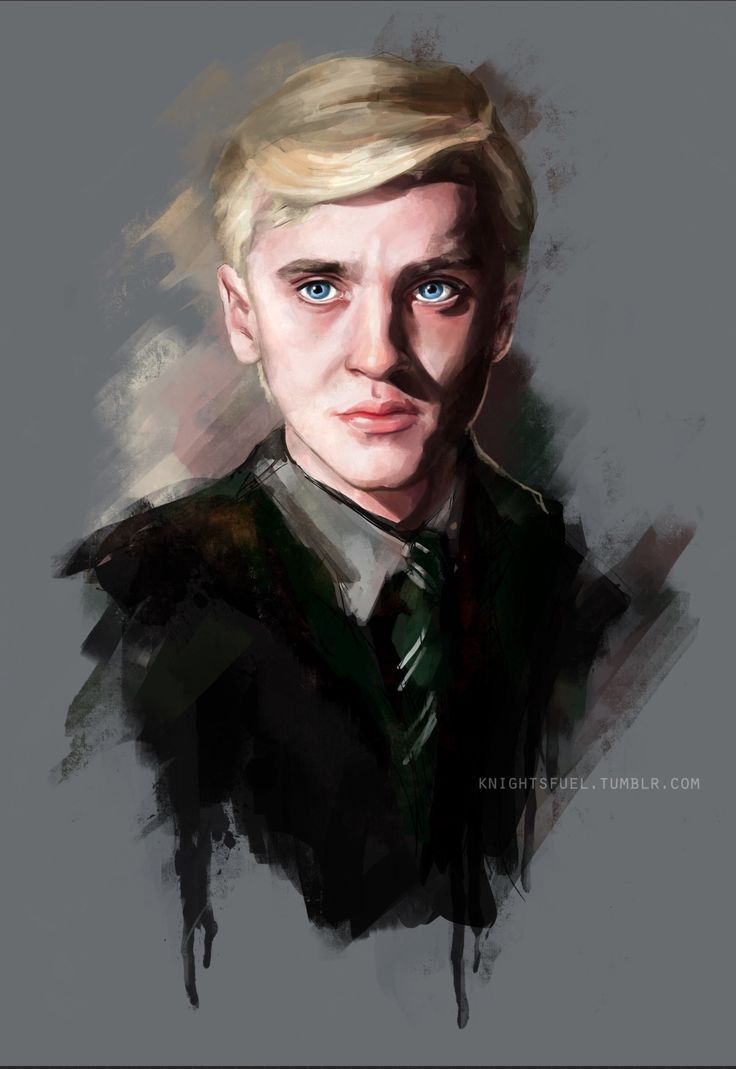 Draco Malfoy ritratto dipinto, Harry Potter, 736x1069 Verticale, Telefono