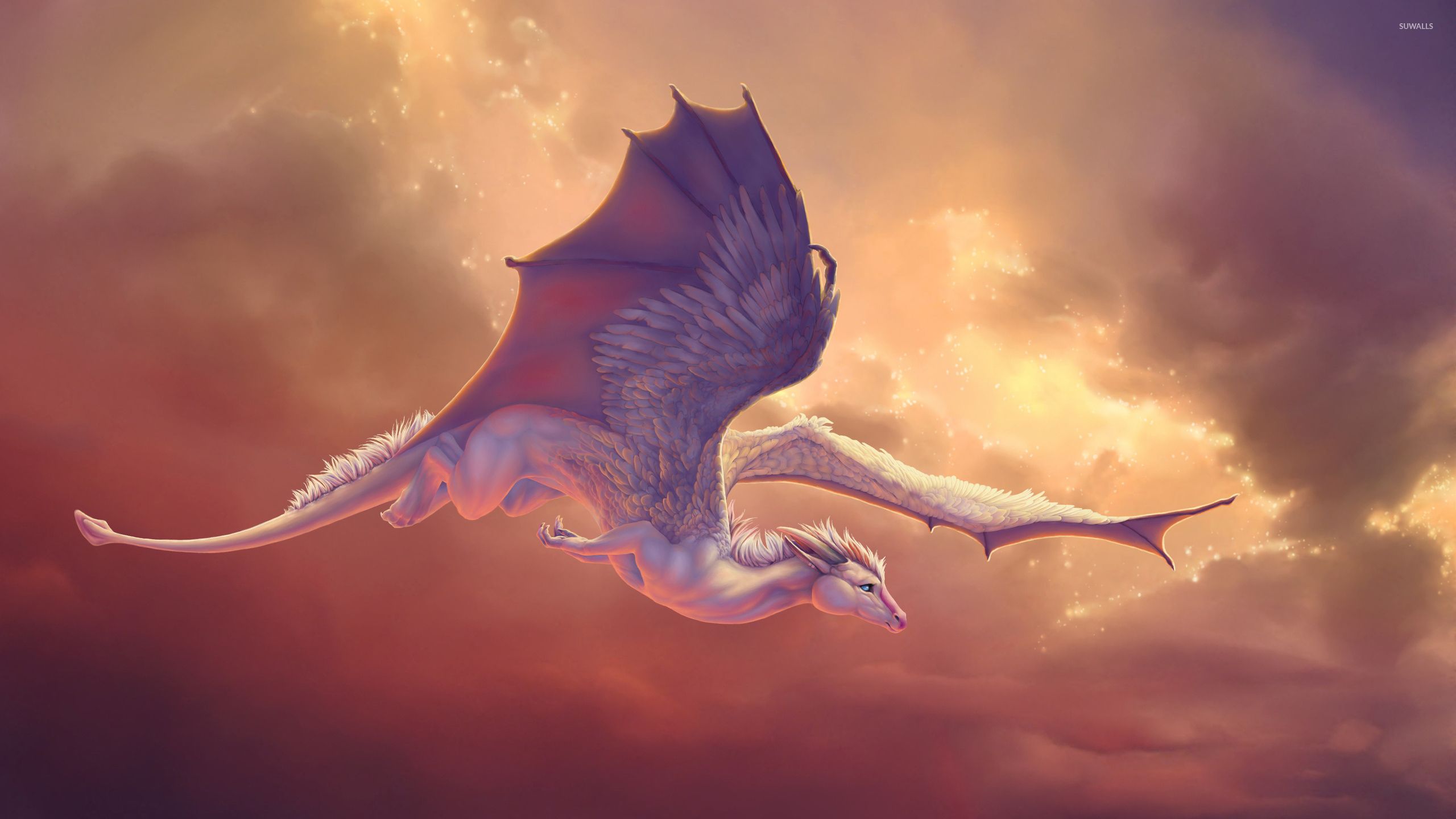 Sdentato e Hiccup, Dragon Trainer, 1920x1080 1080p, PC