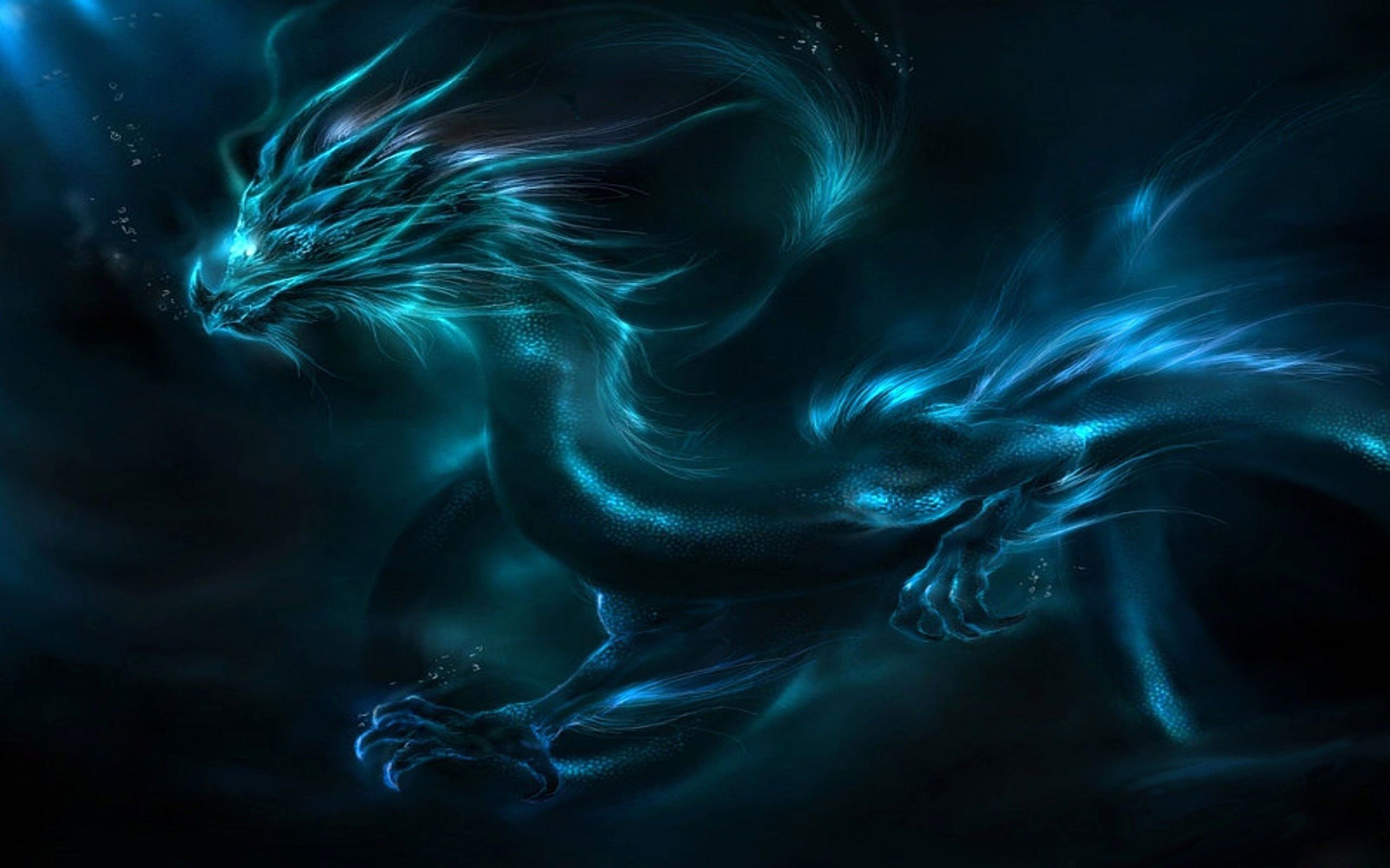 Drago blu luminoso 3D, 2560x1600 2K, Desktop