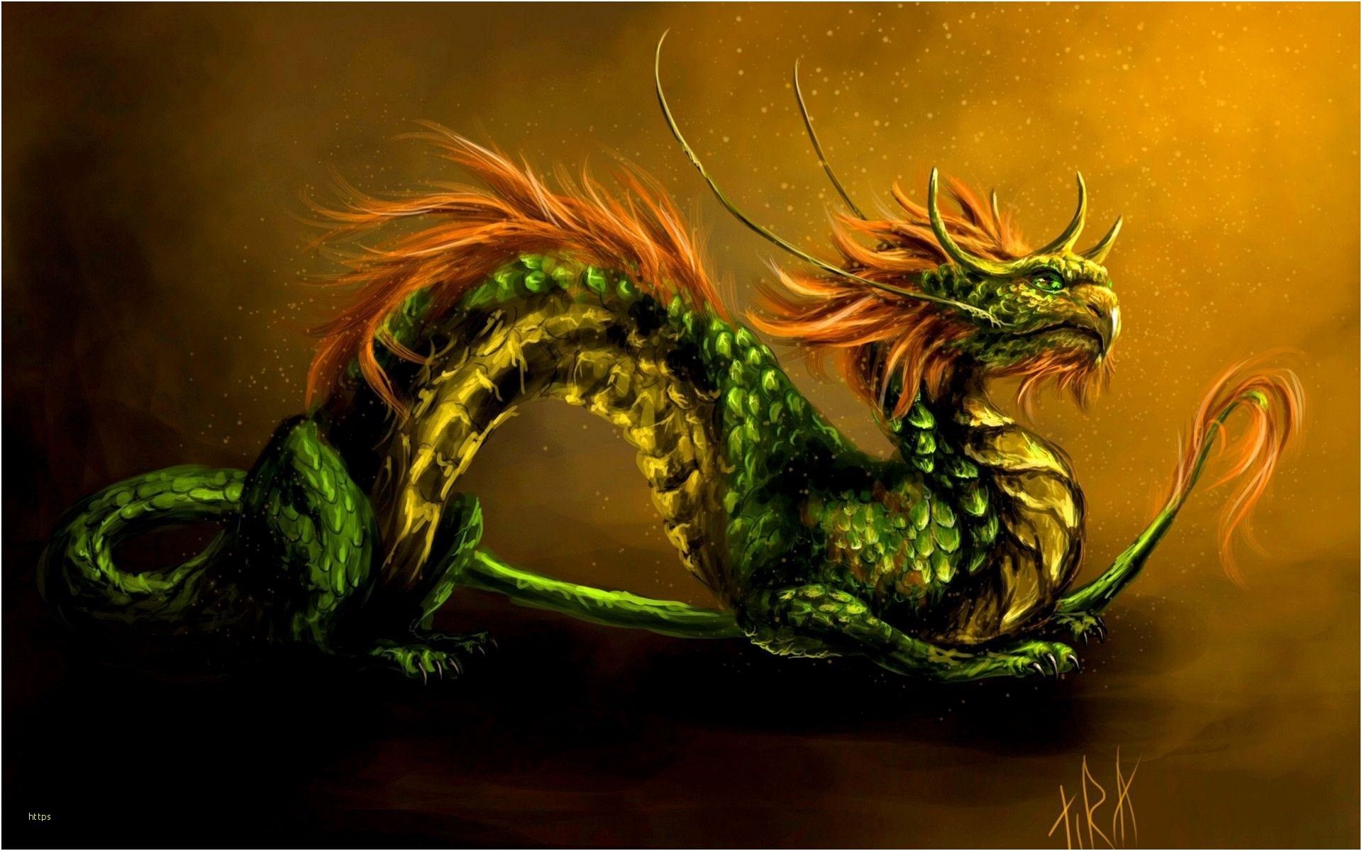 Drago verde stile orientale, 1920x1200 WUXGA, Desktop