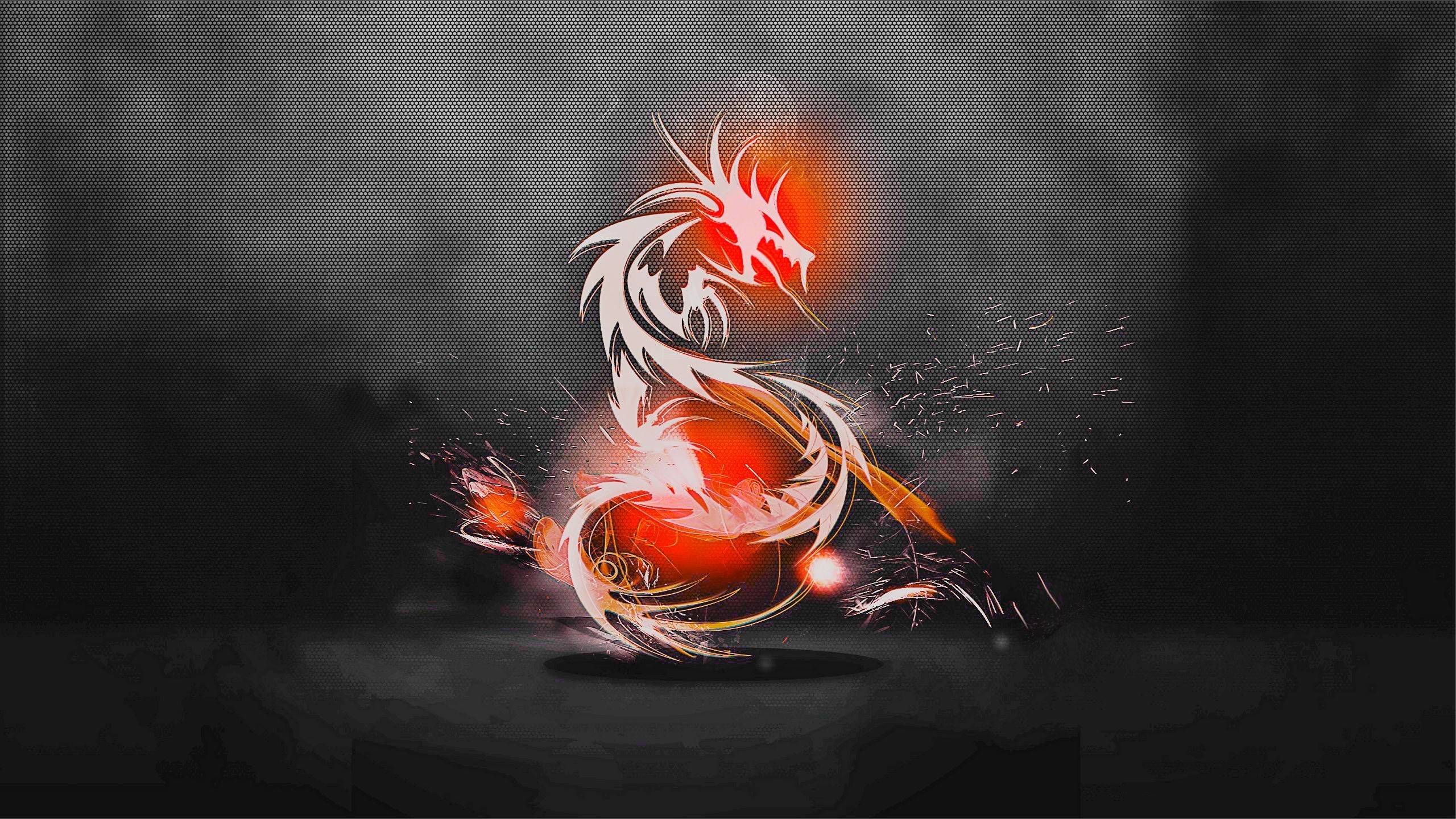 Drago astratto rosso nero, 2560x1440 2K, Desktop