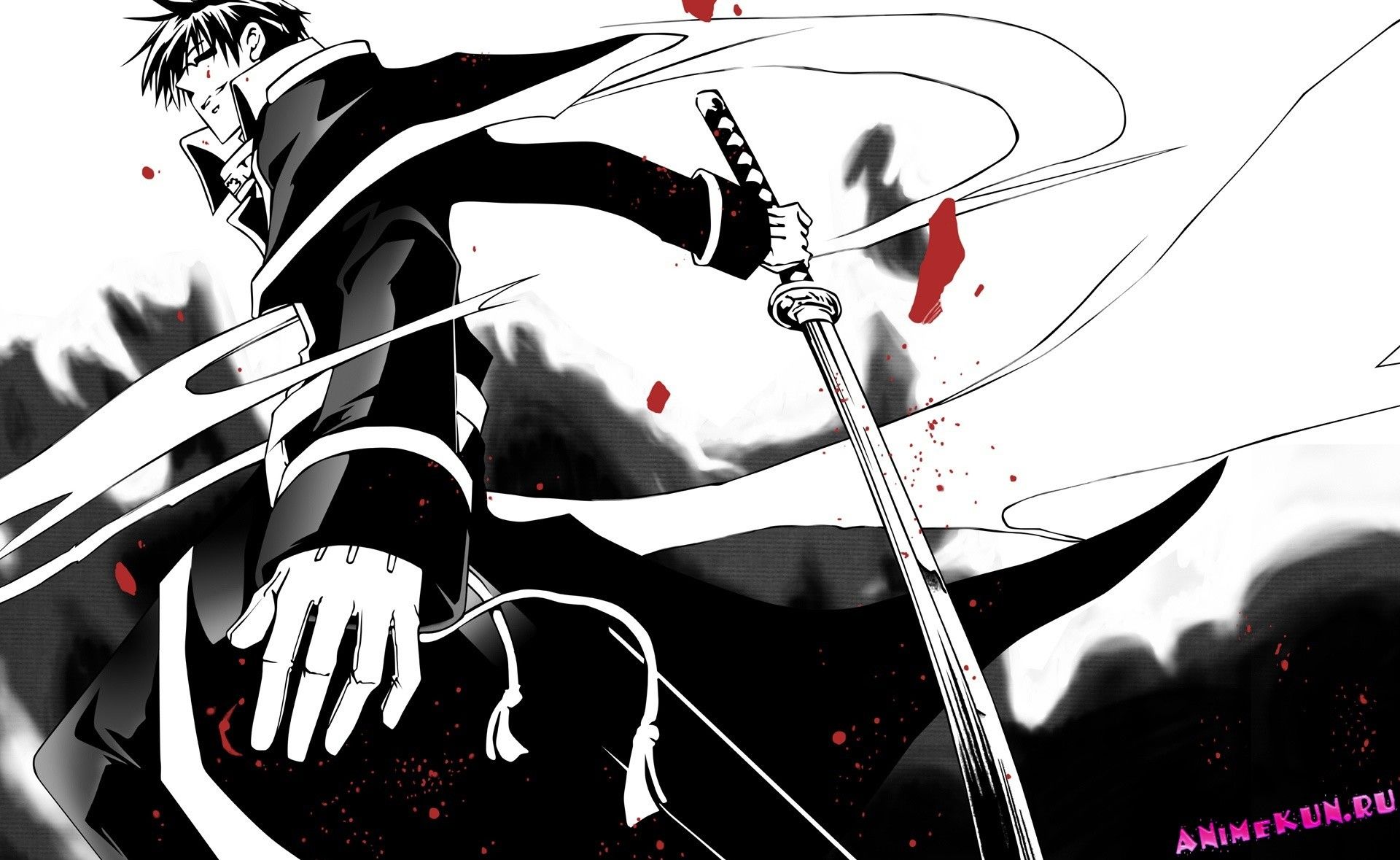 Ninja con cappello di paglia, 2560x1440 QHD, Laptop