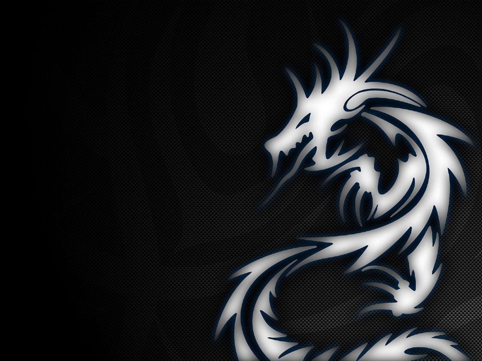 Drago tribale bianco su nero, 1600x1200 HD Ready, Laptop