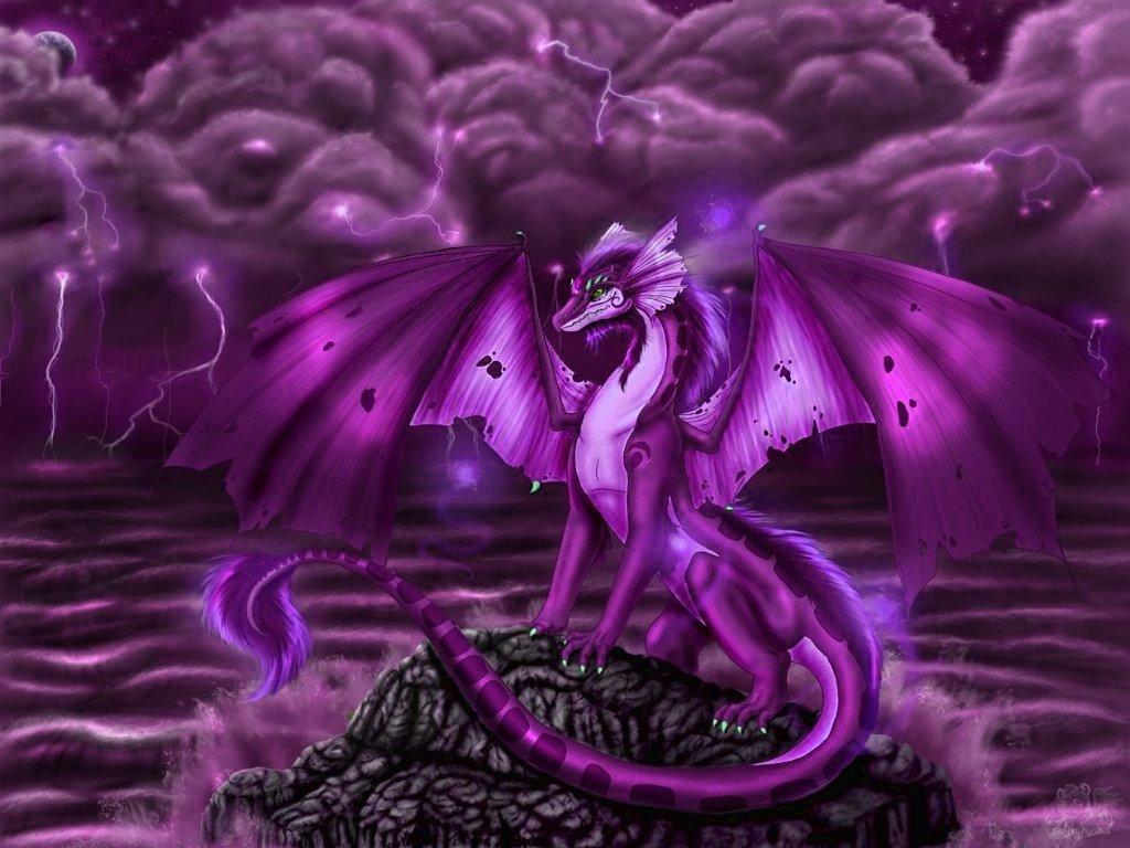Drago viola su roccia, 1024x768 HD, Laptop