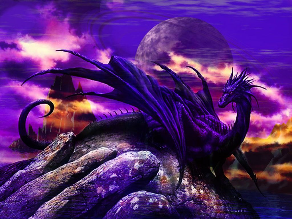 Drago viola su scogliera, 1024x768 HD, Desktop