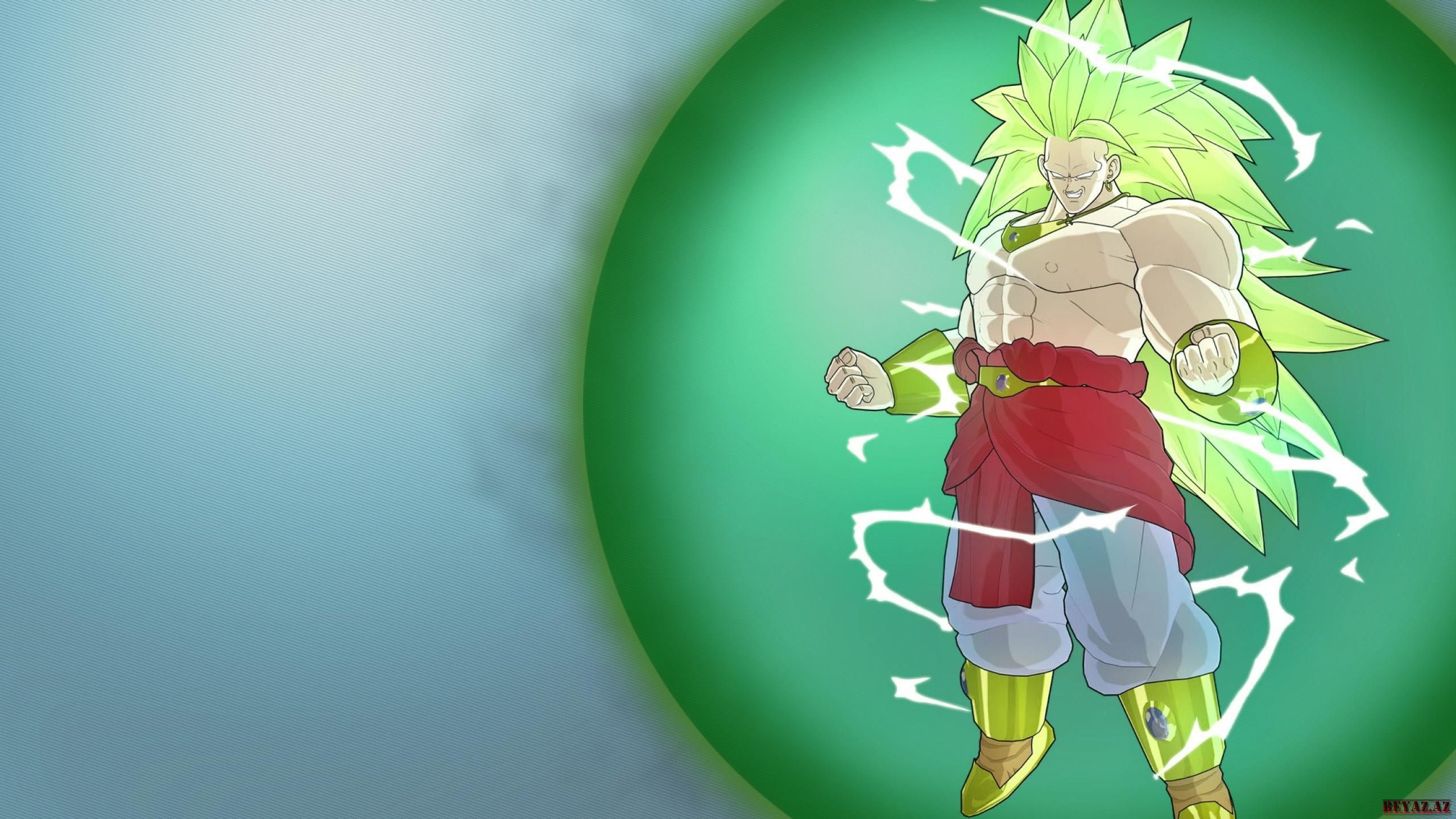 Broly Super Saiyan, Dragon Ball, 2560x1440 2K, Desktop