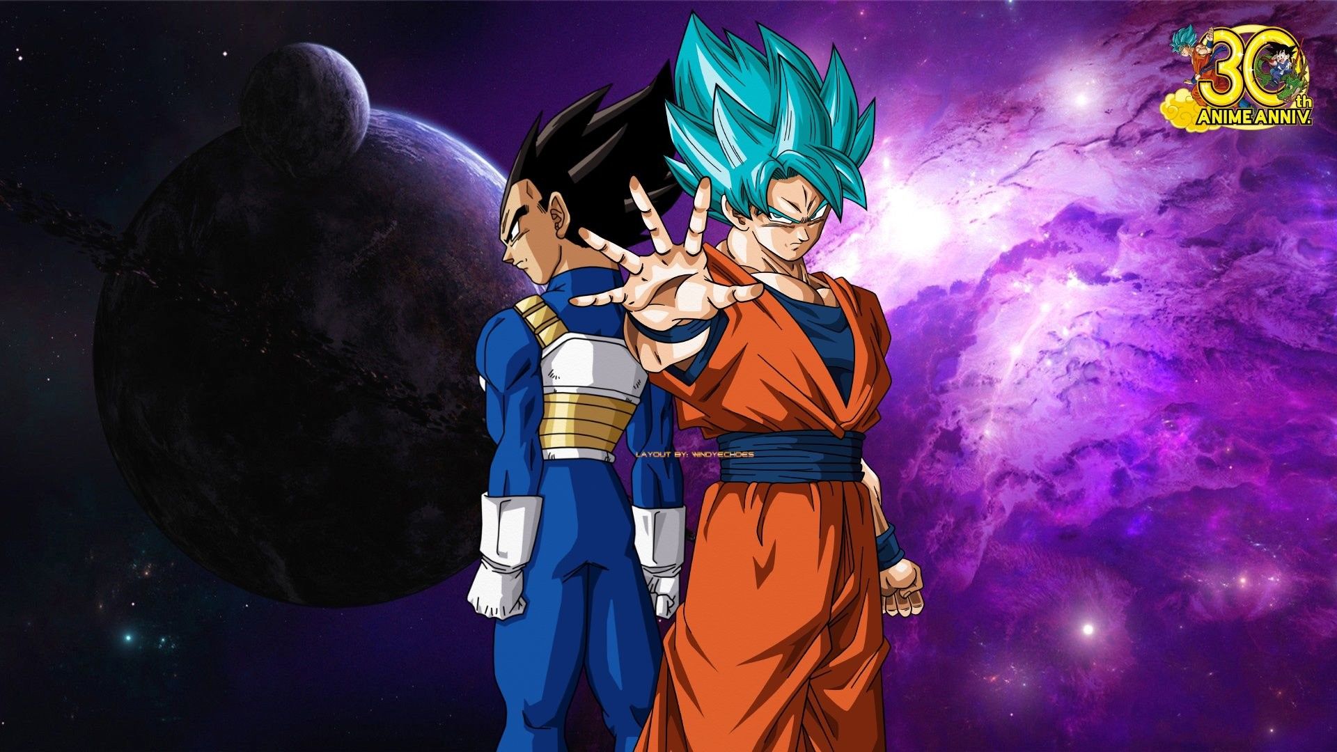 Goku e Vegeta Super Saiyan Blue, 1920x1080 Full HD, PC
