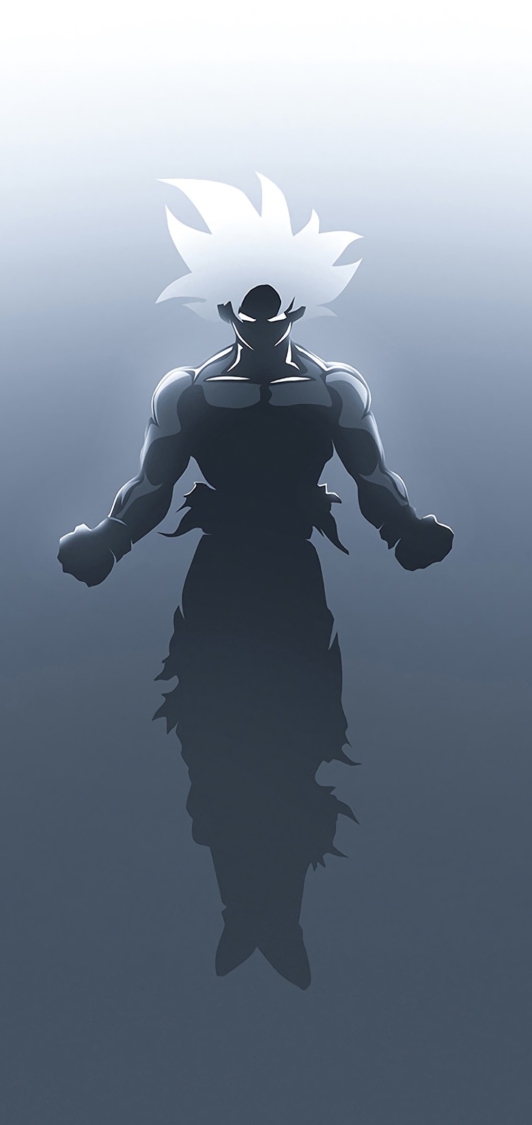 Goku silhouette Dragon Ball Z, 1080x2280 Verticale, Samsung Galaxy