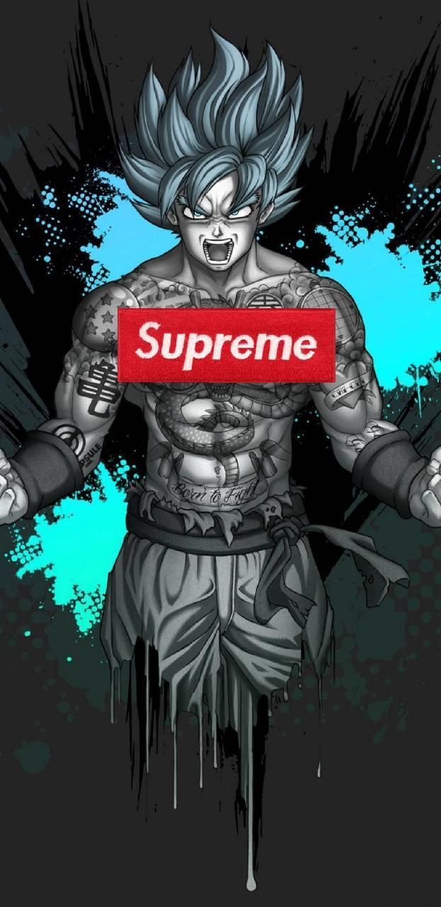 Goku Super Saiyan blu Supreme, streetwear, 623x1280 Full HD Verticale, Smartphone