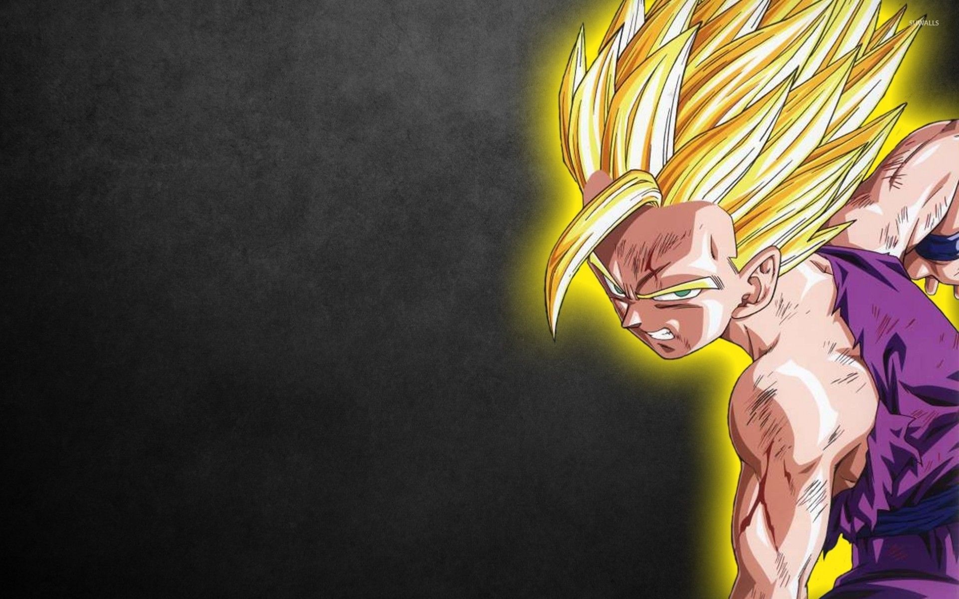 Dragon Ball Z personaggi, 1024x768 HD, PC