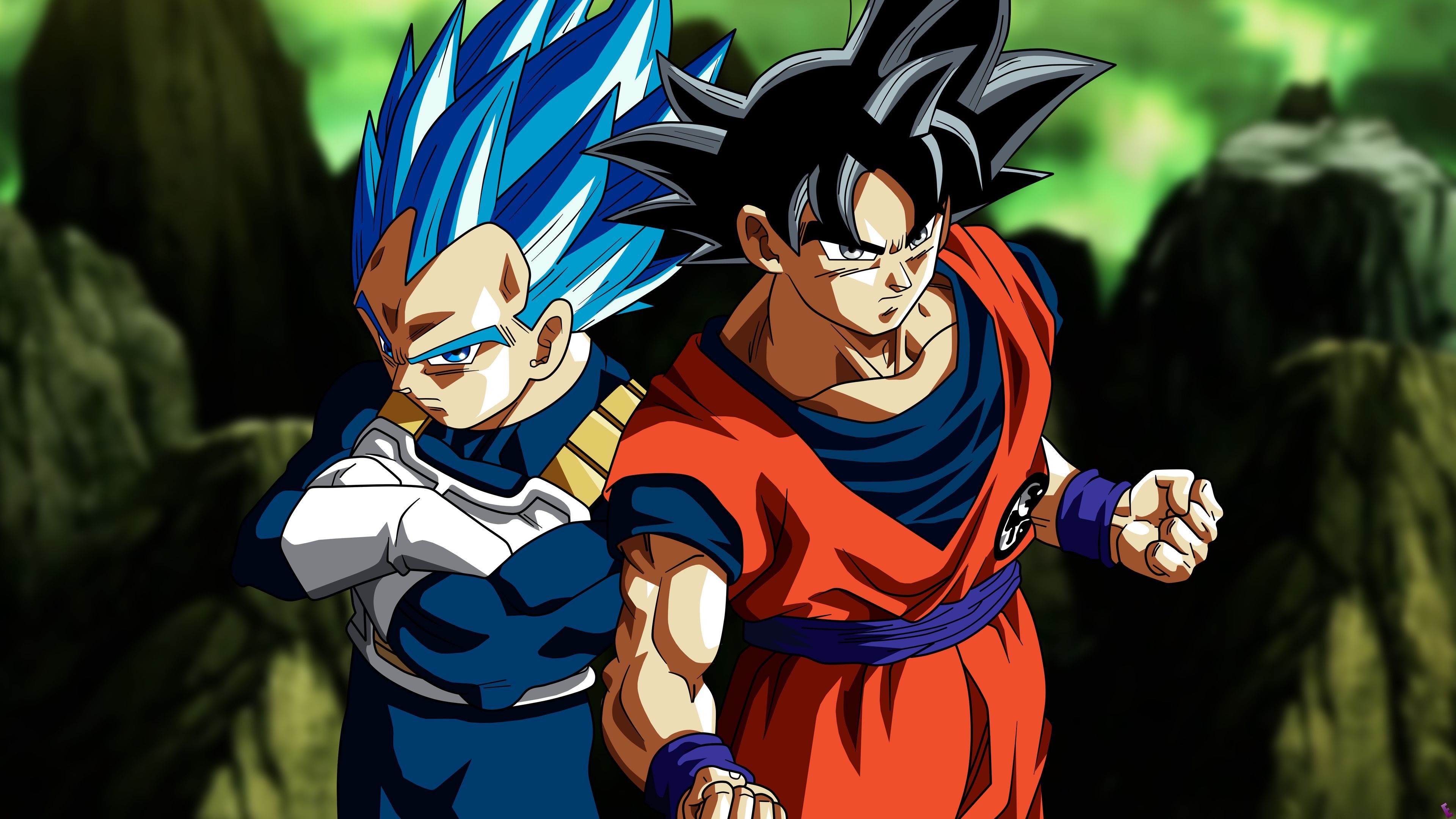 Goku e Vegeta Dragon Ball Z, 3840x2160 4K, Desktop 4K