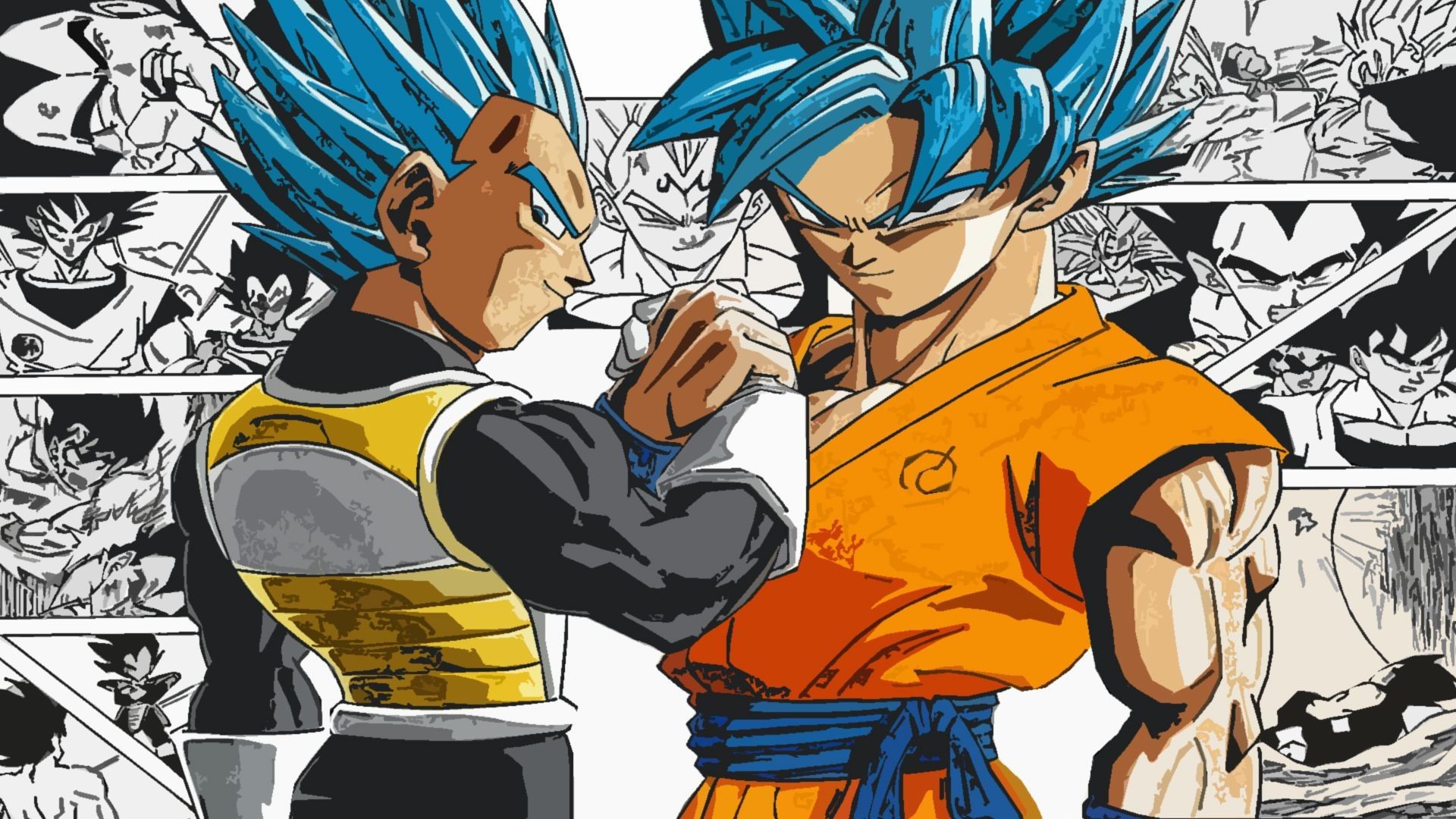 Goku e Vegeta Super Saiyan Blu, 1920x1080 1080p, Desktop