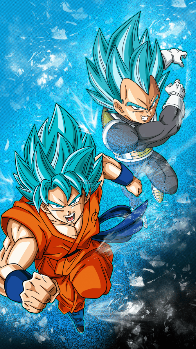 Goku e Vegeta Super Saiyan Blue, Principe dei Saiyan, 675x1200 Verticale, iPhone Pro