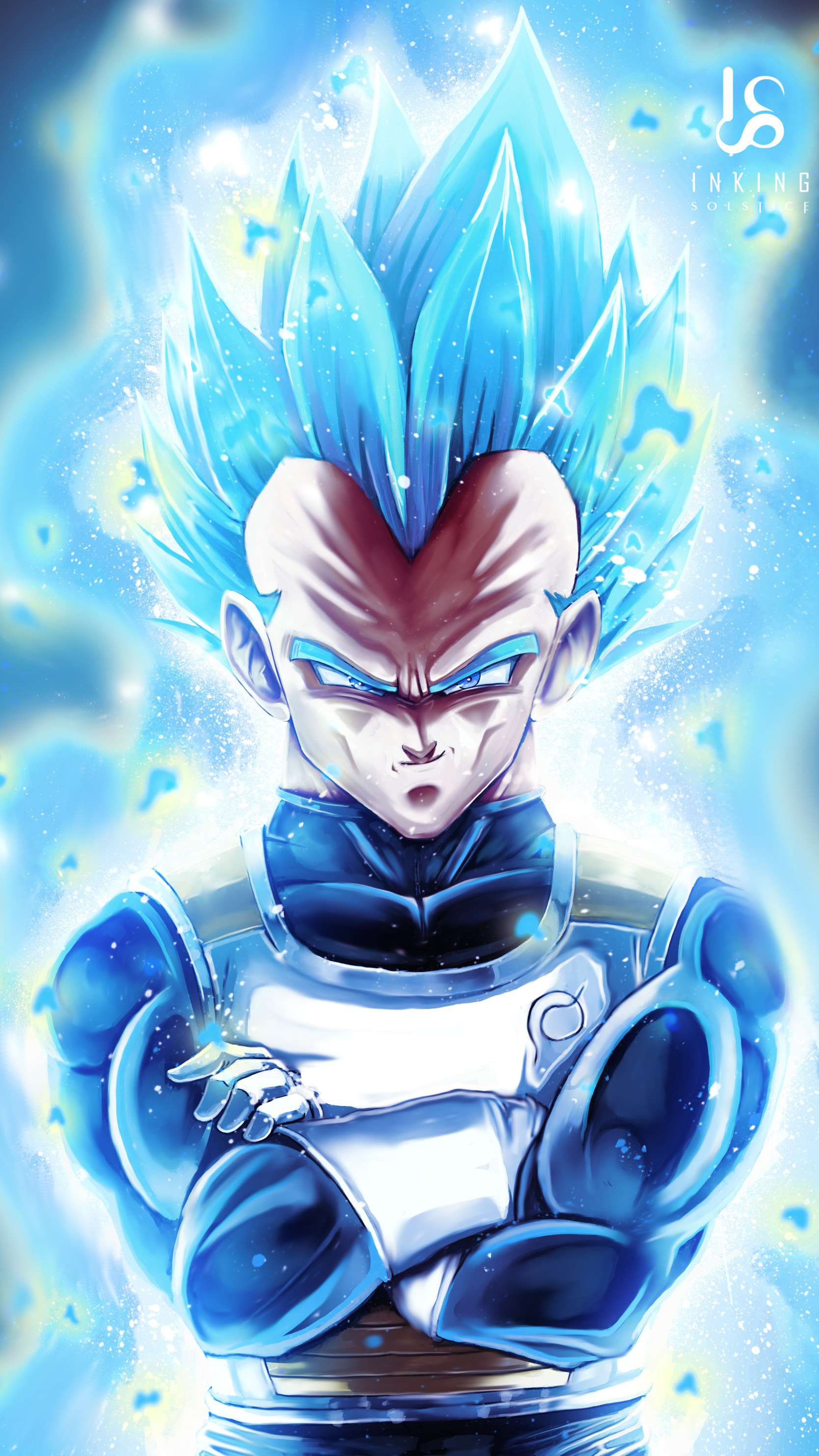 Vegeta Super Saiyan Blu, Principe dei Saiyan, 1669x2967 Full HD Verticale, iPhone Plus