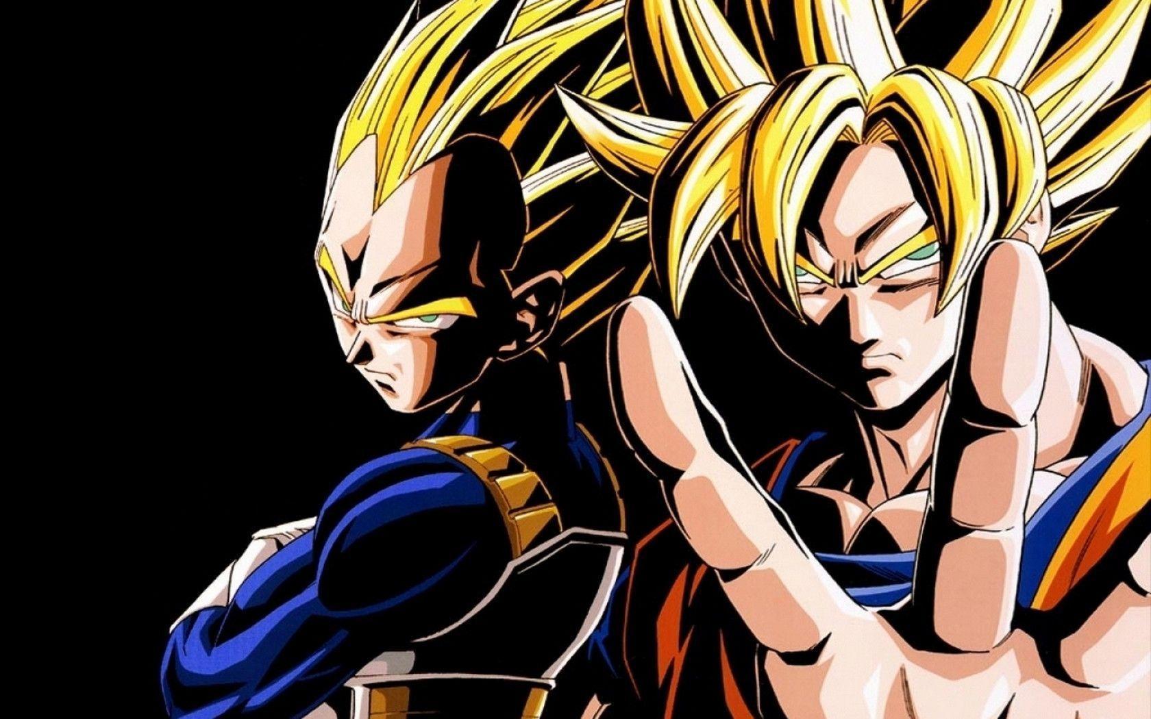 Goku e Vegeta Super Saiyan, 1680x1050 HD, PC