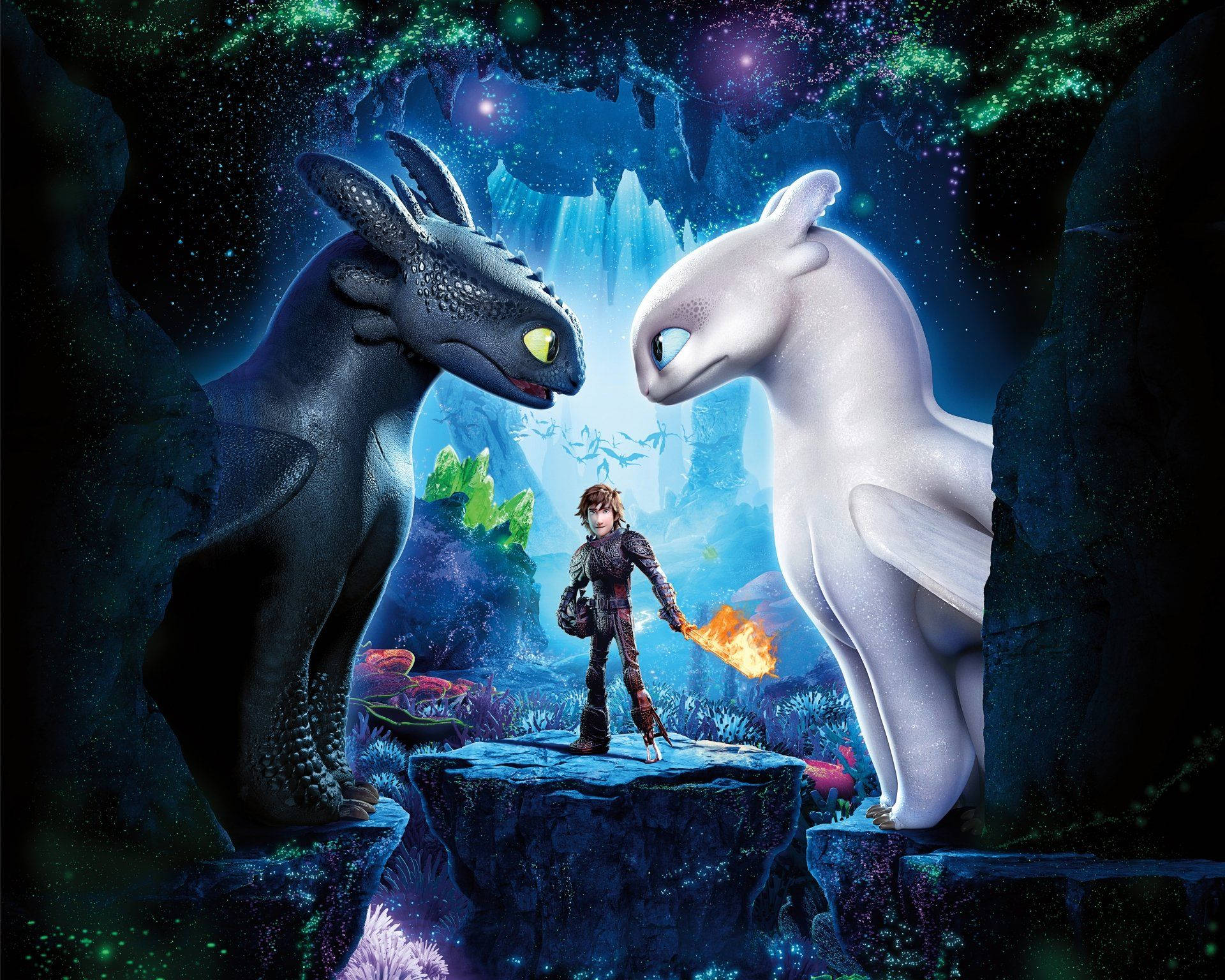 Dragon Trainer Sdentato e Furia, 1920x1536 WUXGA, PC