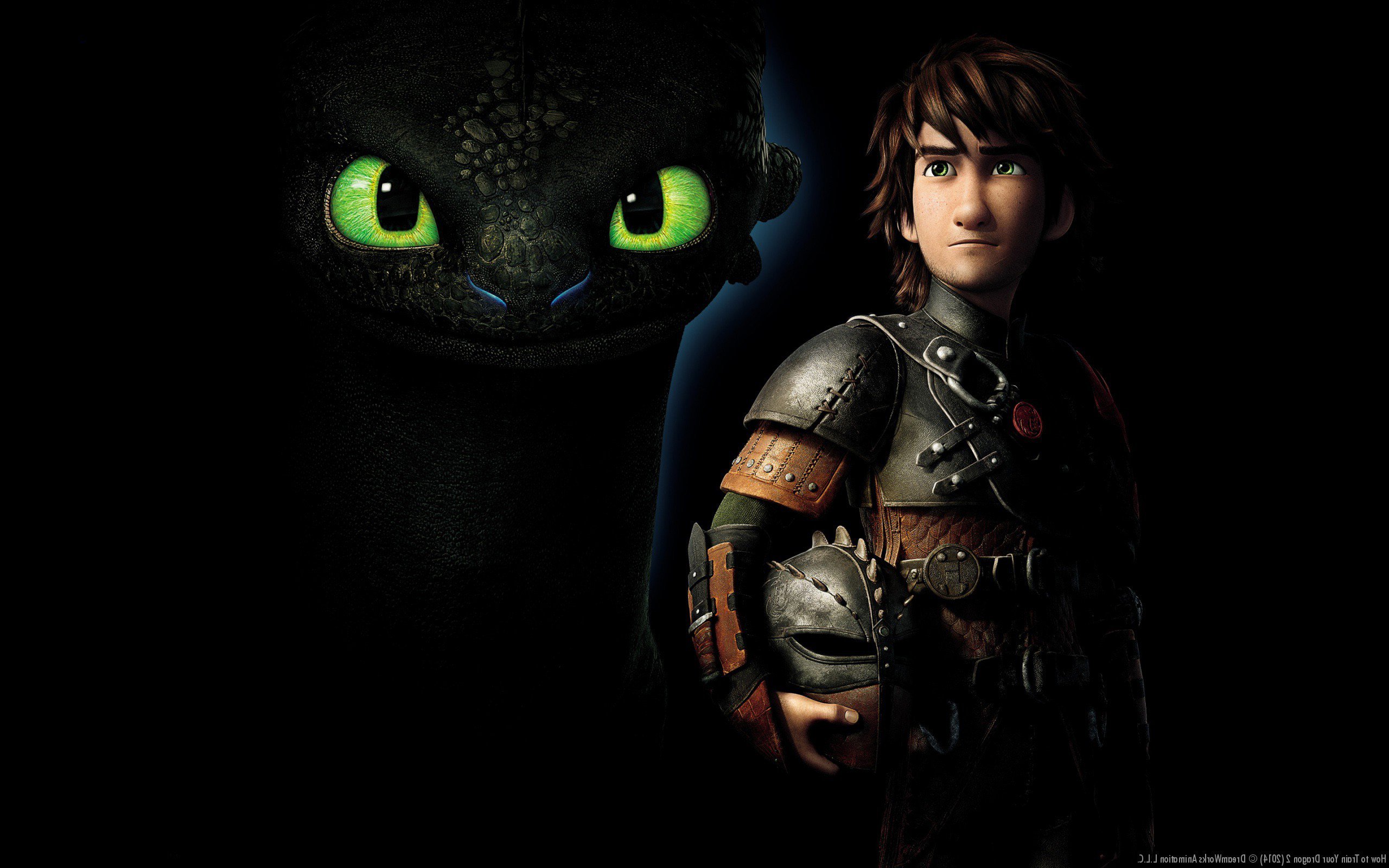 Hiccup e Sdentato, Dragon Trainer, 2560x1600 WQXGA, Laptop