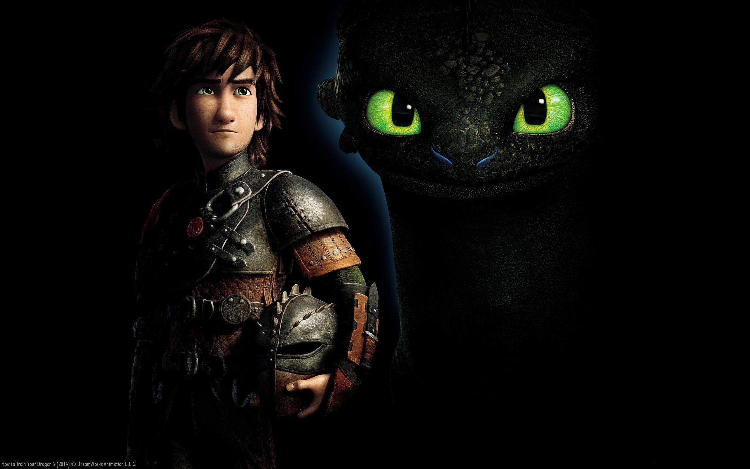 Hiccup e Sdentato, Dragon Trainer, 2560x1600 2K, Desktop