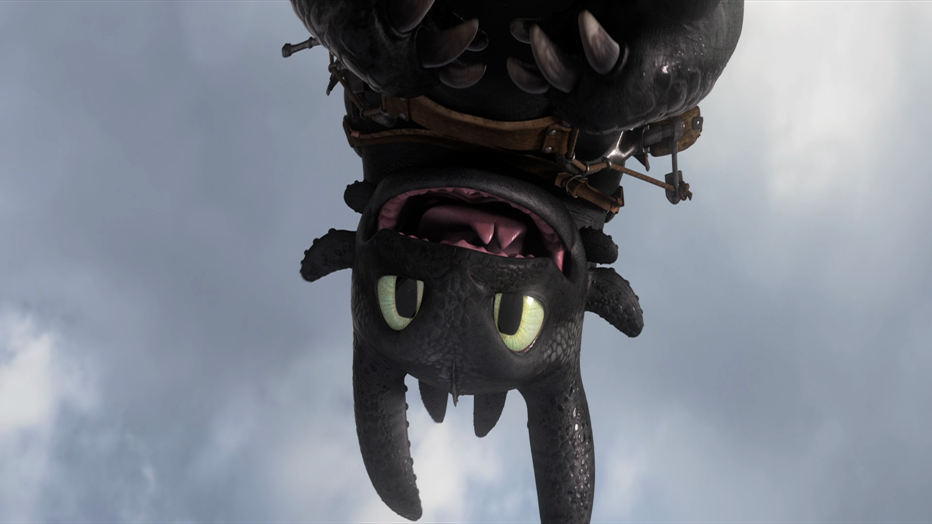 Sdentato drago in volo, 1920x1080 1080p, Desktop